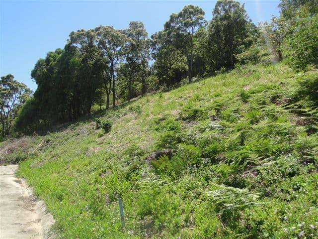 5 Horizons Drive, Coolum Beach, Coolum Beach - Thumbnail 5