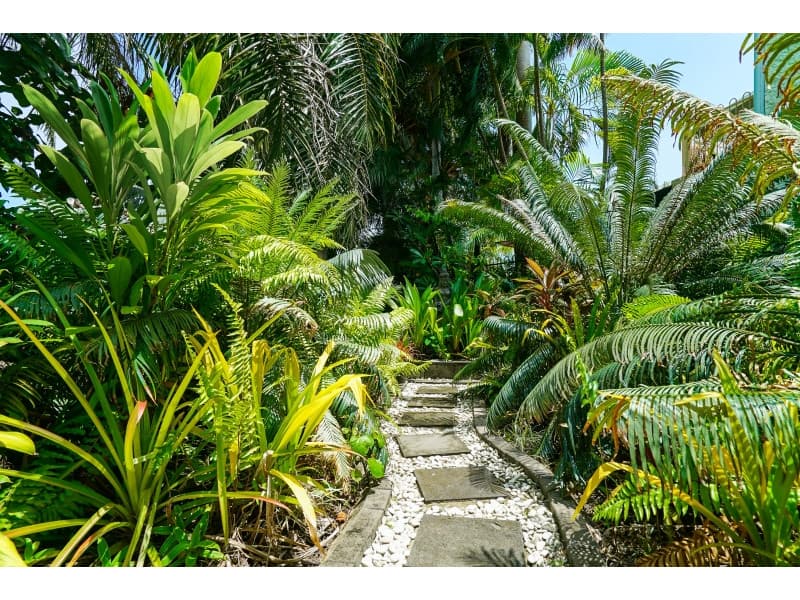 5/152 Casuarina Drive, Nightcliff, Nightcliff - Thumbnail 8