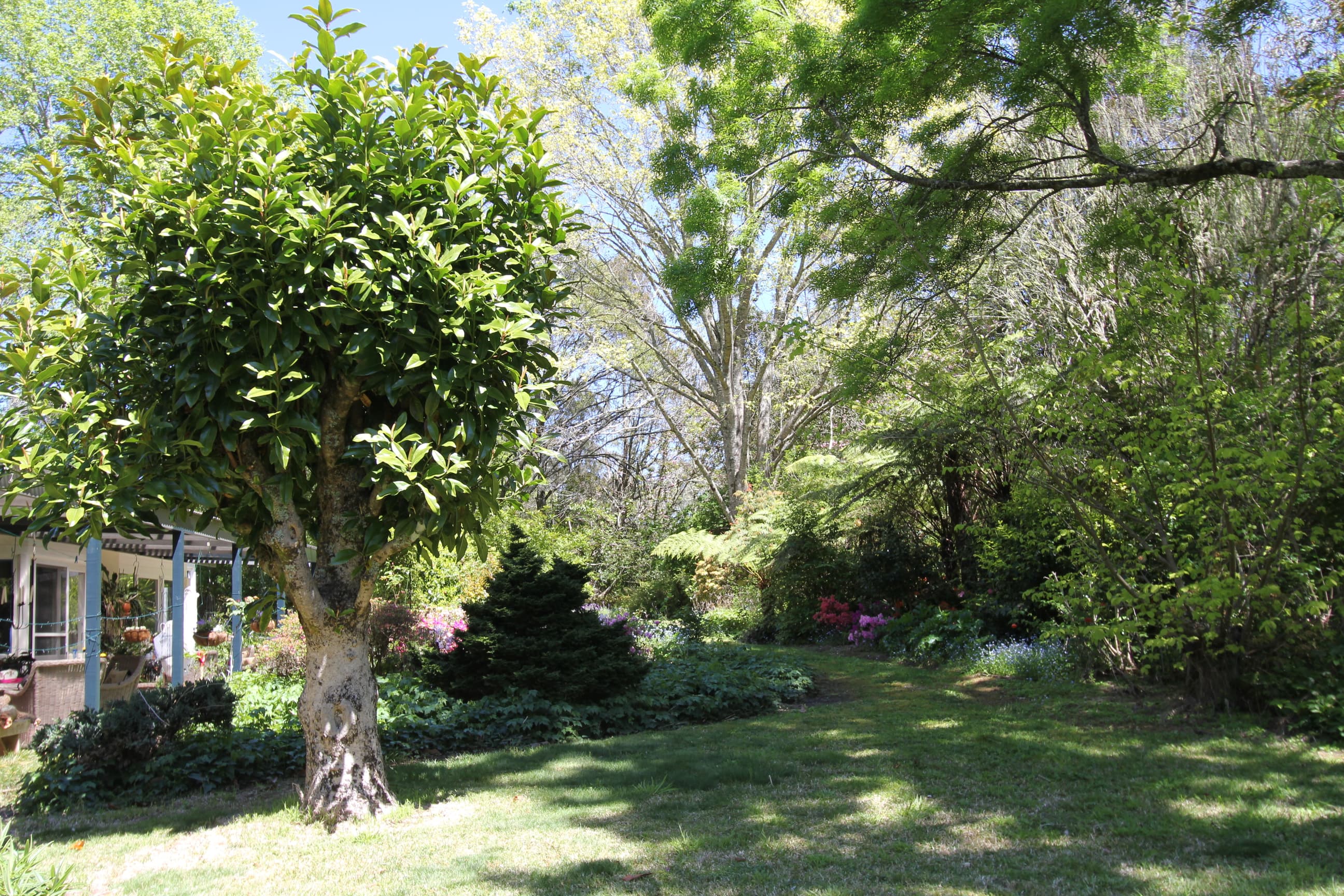 4 Gwen Road, Fitzroy Falls, Fitzroy Falls - Thumbnail 8