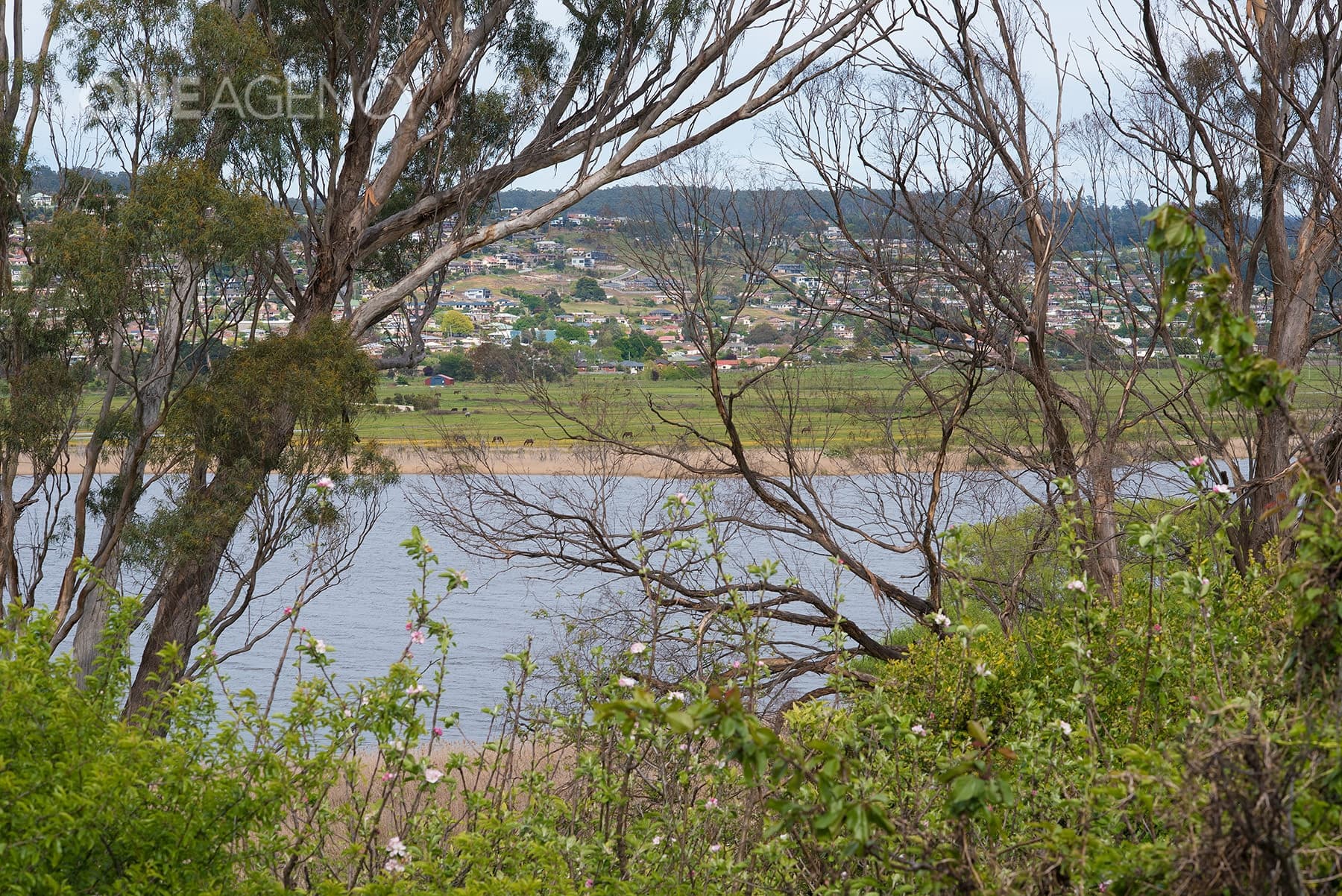 9 Plumer Street, Mowbray, Mowbray - Thumbnail 2