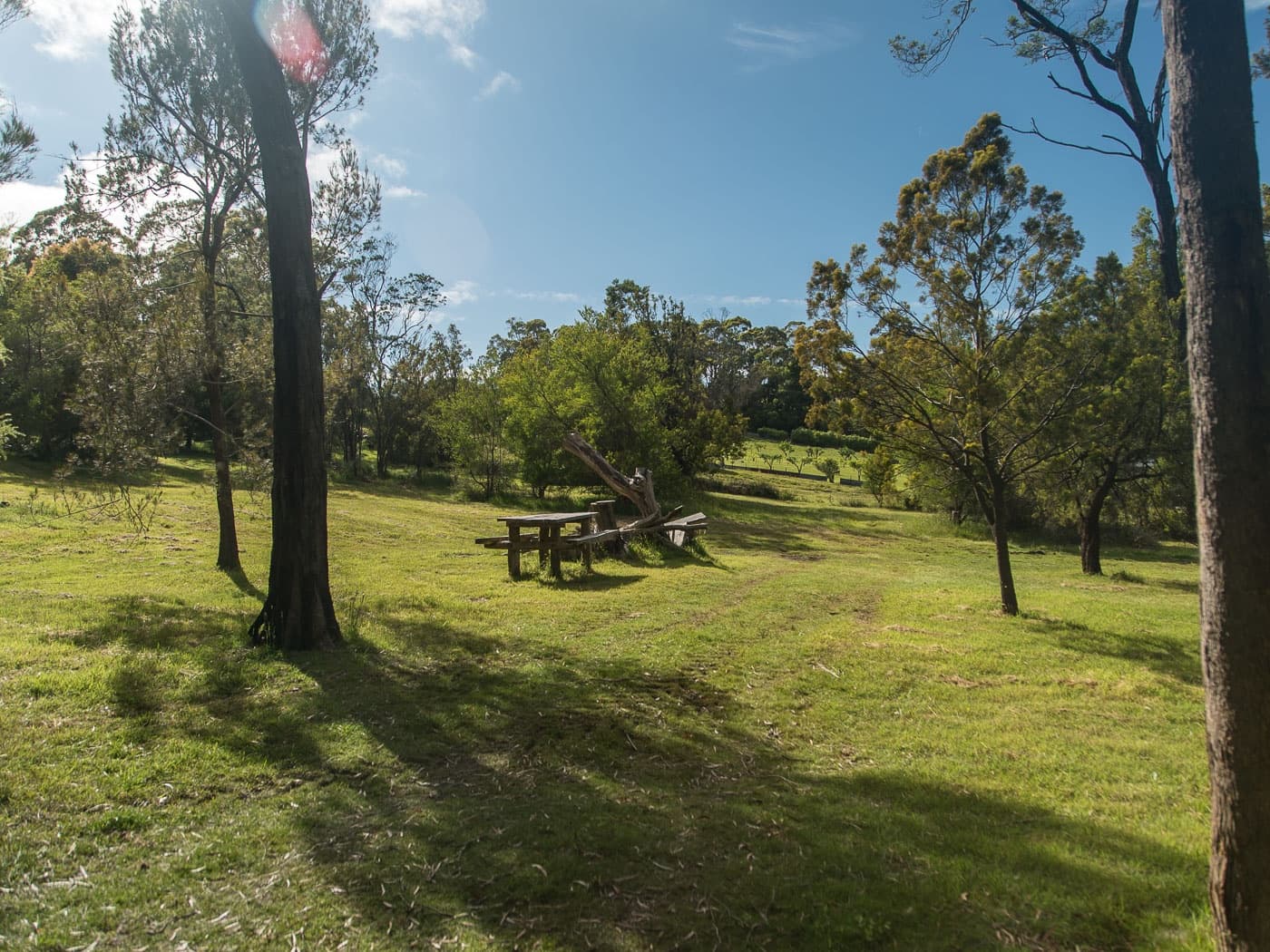 82-84 Kayena Road, Kayena, Kayena - Thumbnail 2