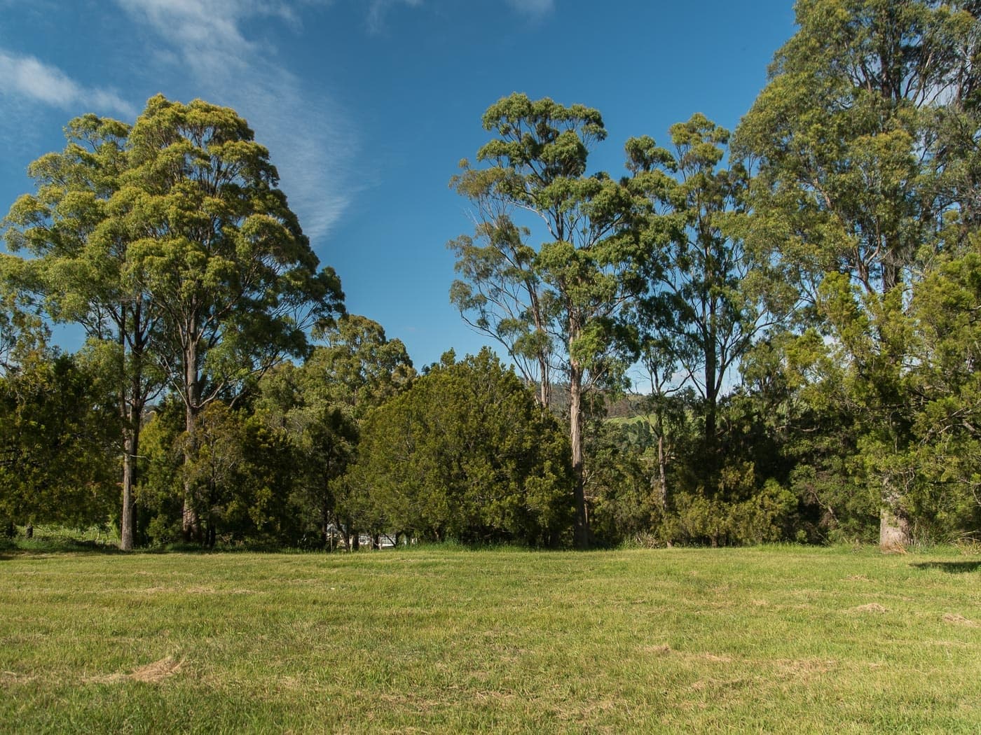 82-84 Kayena Road, Kayena, Kayena - Thumbnail 7