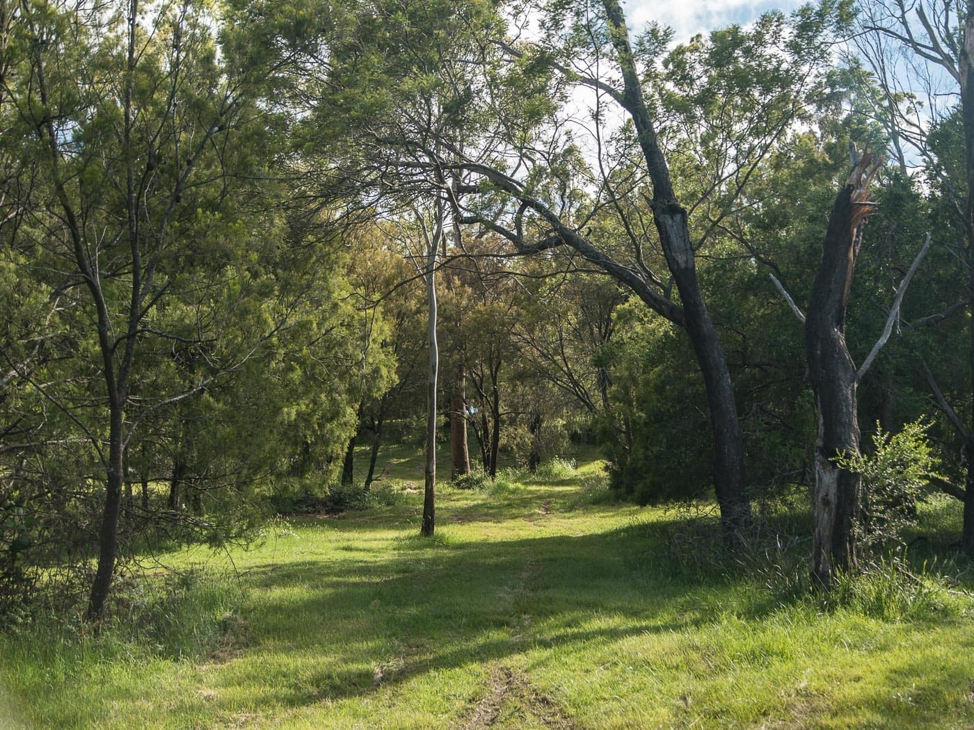 82-84 Kayena Road, Kayena, Kayena - Thumbnail 8