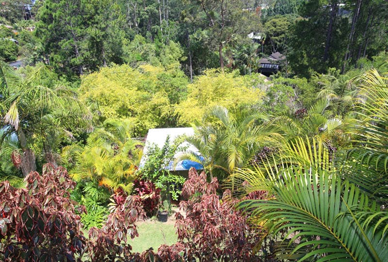 15 Fern Tree Place, Korora, Korora - Thumbnail 6