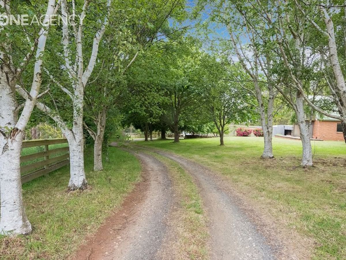 297 Preolenna Road, Flowerdale, Flowerdale - Thumbnail 2