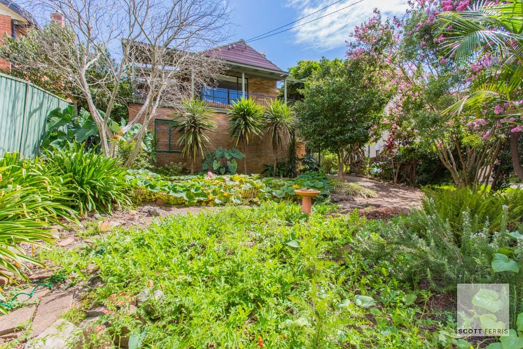 4 Beverley Crescent, New Lambton Heights, New Lambton Heights - Image 1