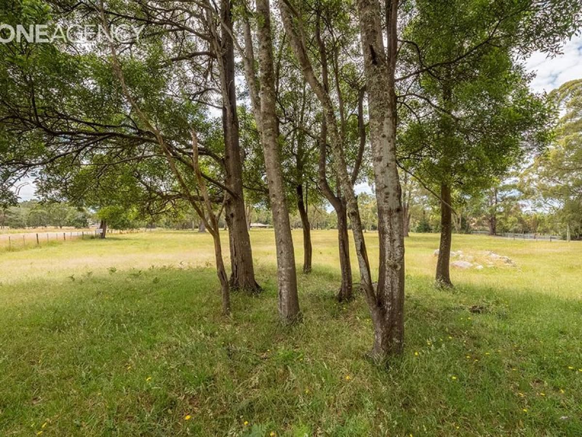 31 Fosters Road, Wynyard, Wynyard - Thumbnail 4