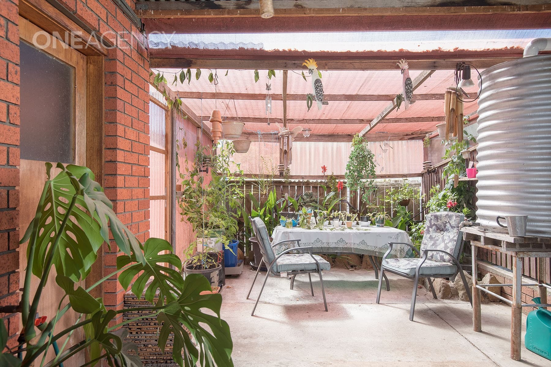 10 Lyall Street, Westbury, Westbury - Thumbnail 7