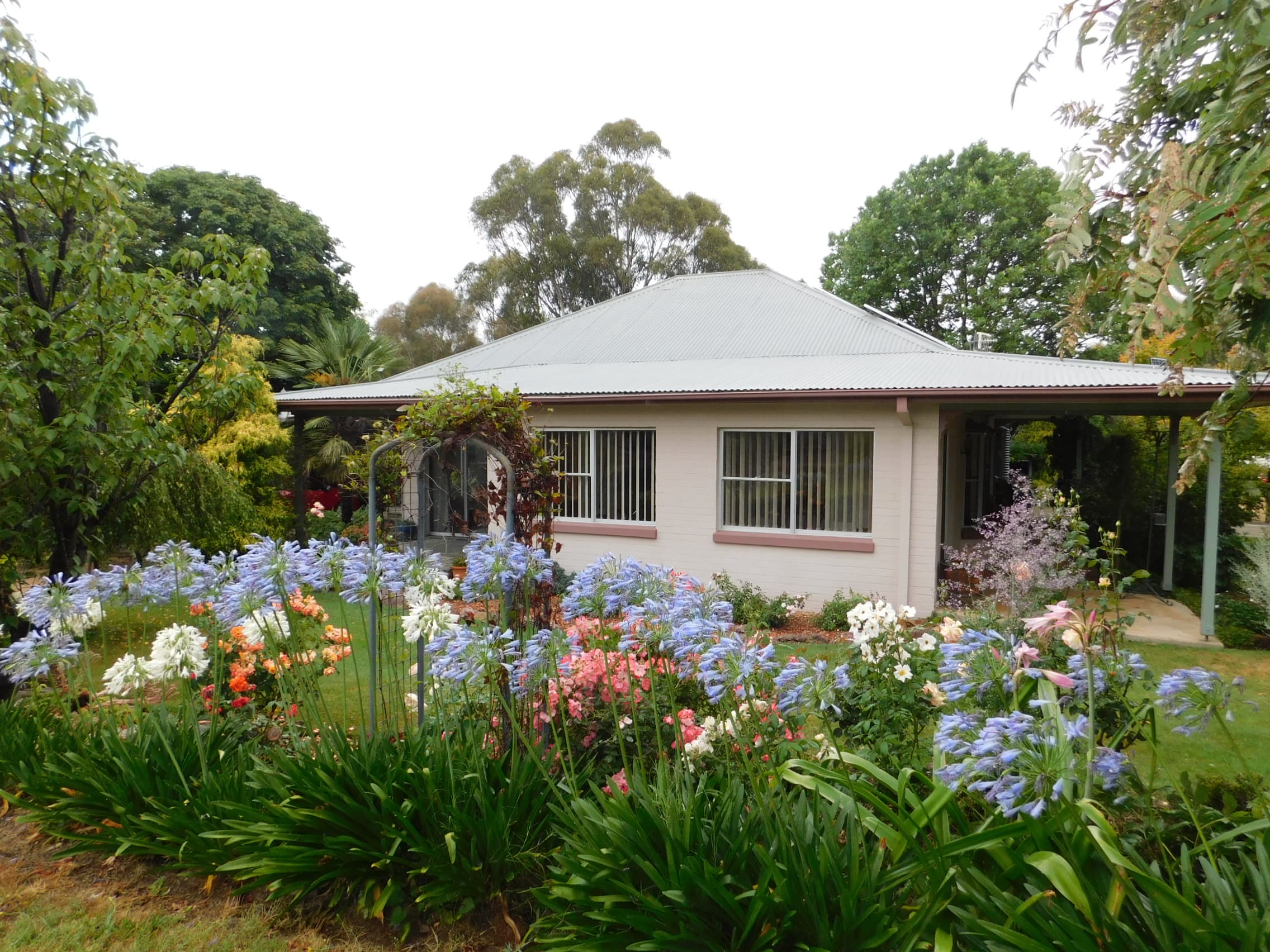 14-16 Dickinson Street, Bombala, Bombala - Image 1