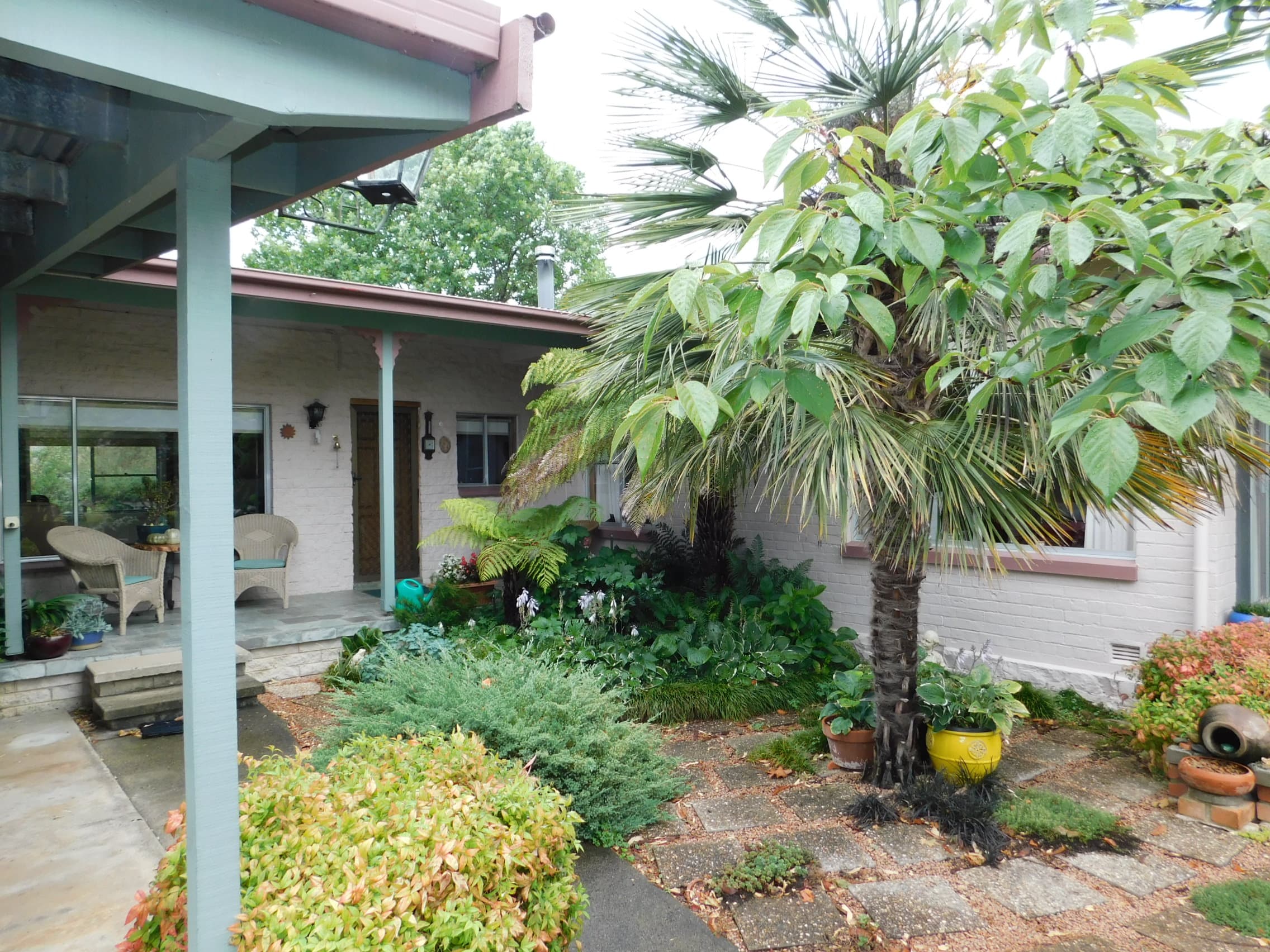 14-16 Dickinson Street, Bombala, Bombala - Thumbnail 4
