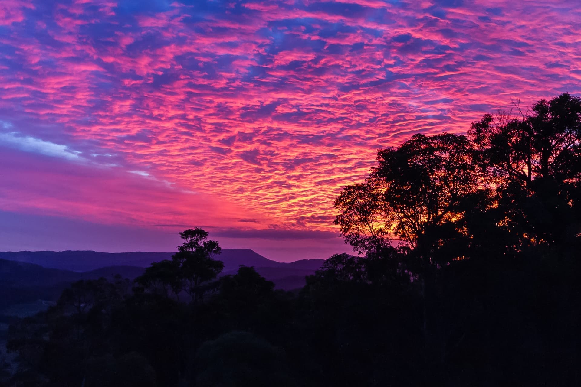 38 Musgrave Drive, Yandina Creek, Yandina Creek - Thumbnail 4