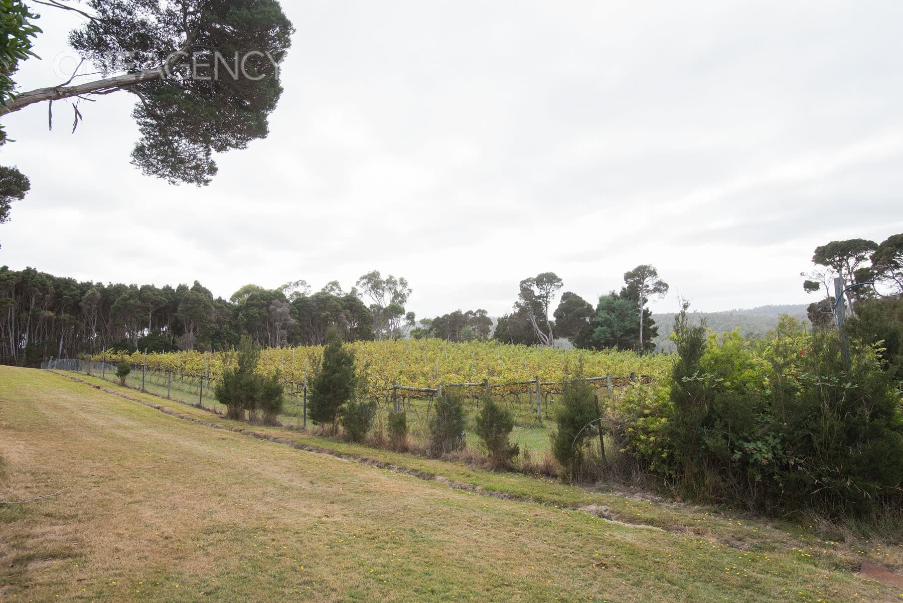 2 Craigburn Road, Hillwood, Hillwood - Thumbnail 4