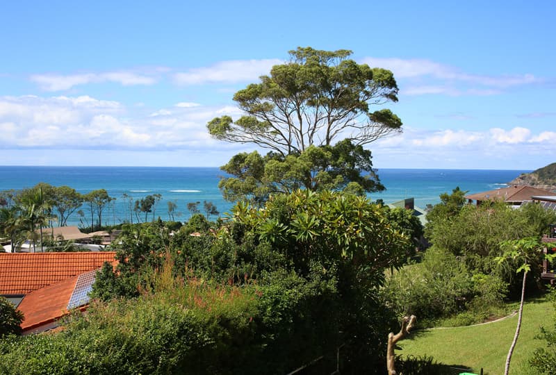 2/1 Sandy Beach Road, Korora, Korora - Thumbnail 3
