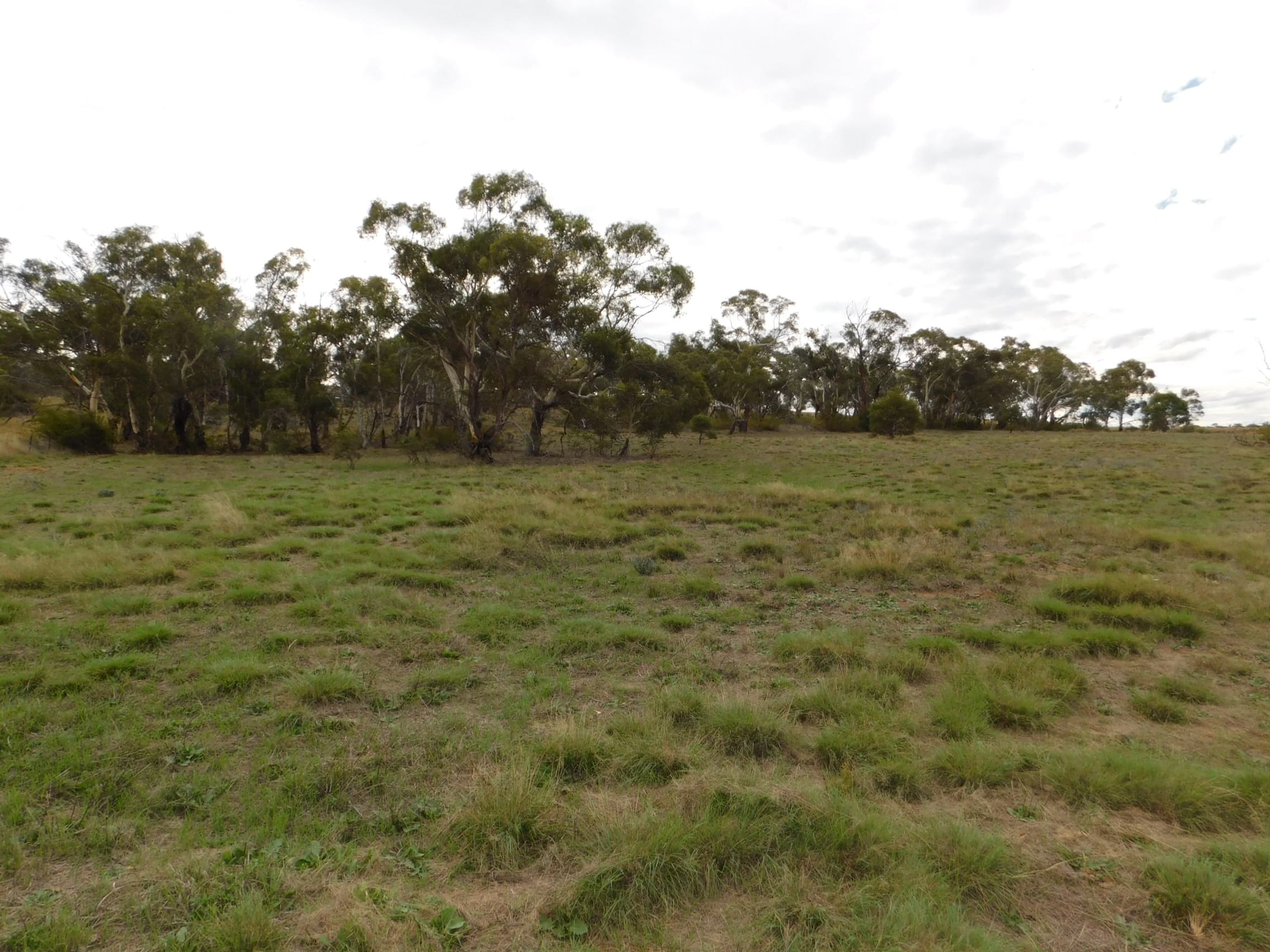 Lot/31 Monaro Highway, Bunyan, Bunyan - Thumbnail 4