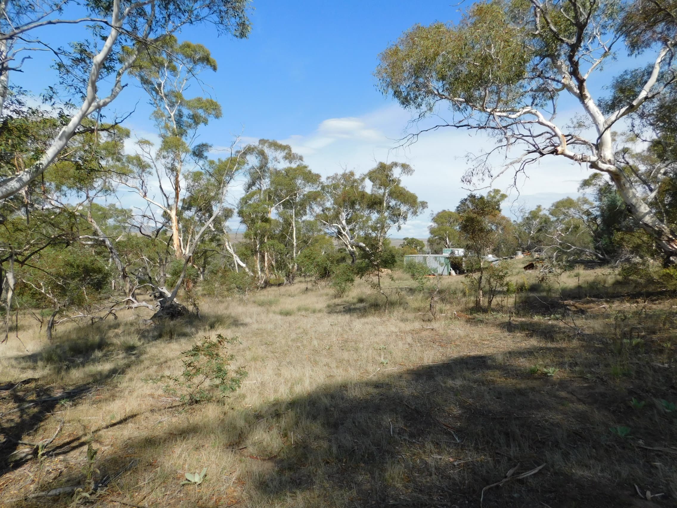 Lot/31 Monaro Highway, Bunyan, Bunyan - Image 1