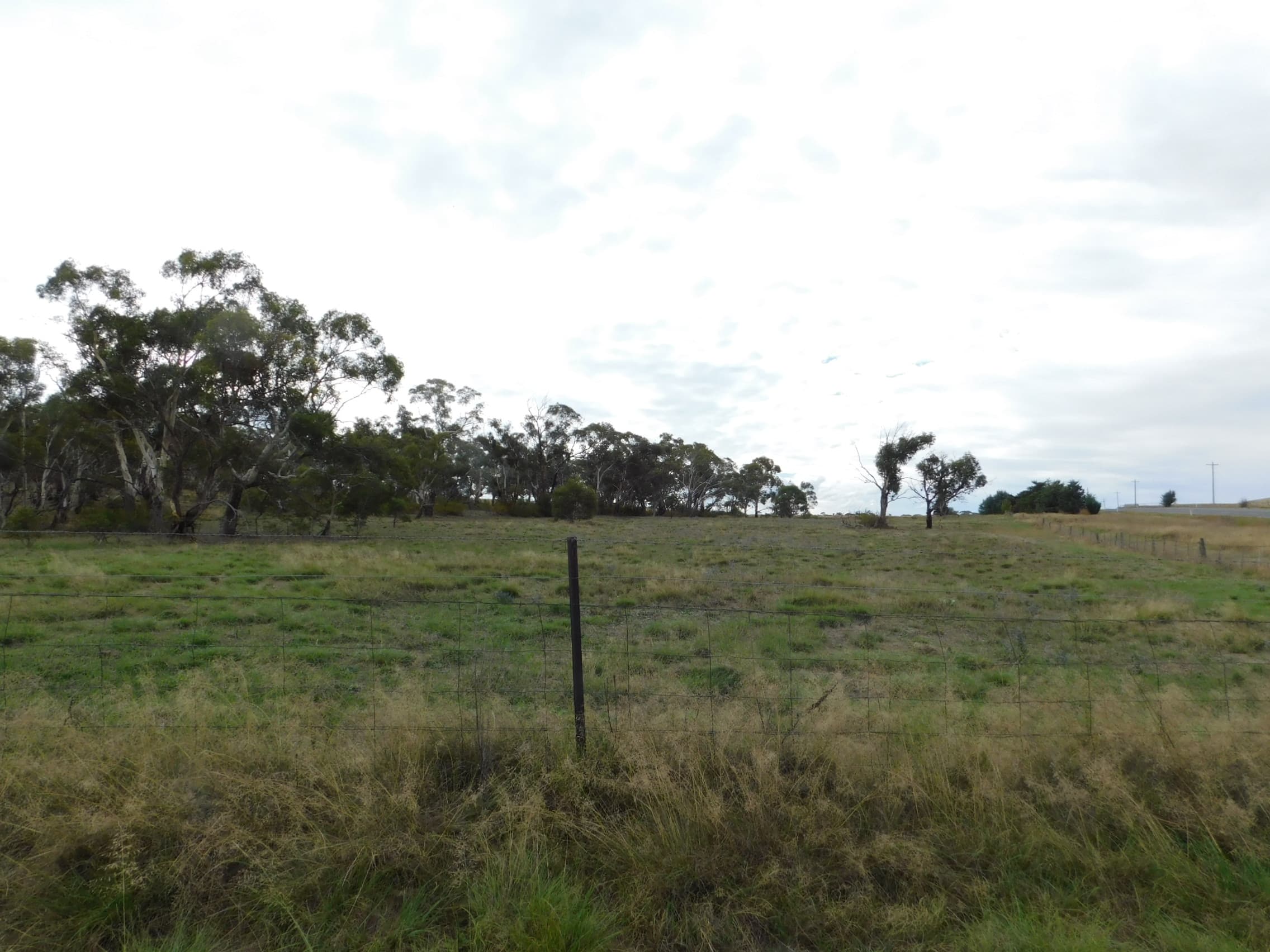 Lot/31 Monaro Highway, Bunyan, Bunyan - Thumbnail 8