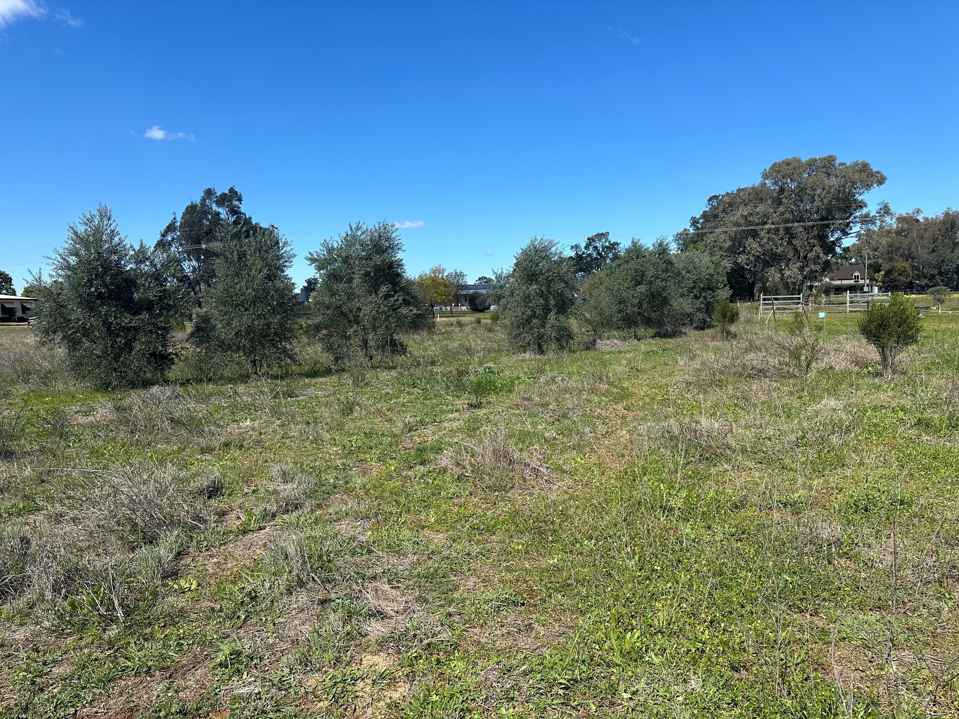 10 Galway Avenue, Gunnedah, Gunnedah - Thumbnail 2