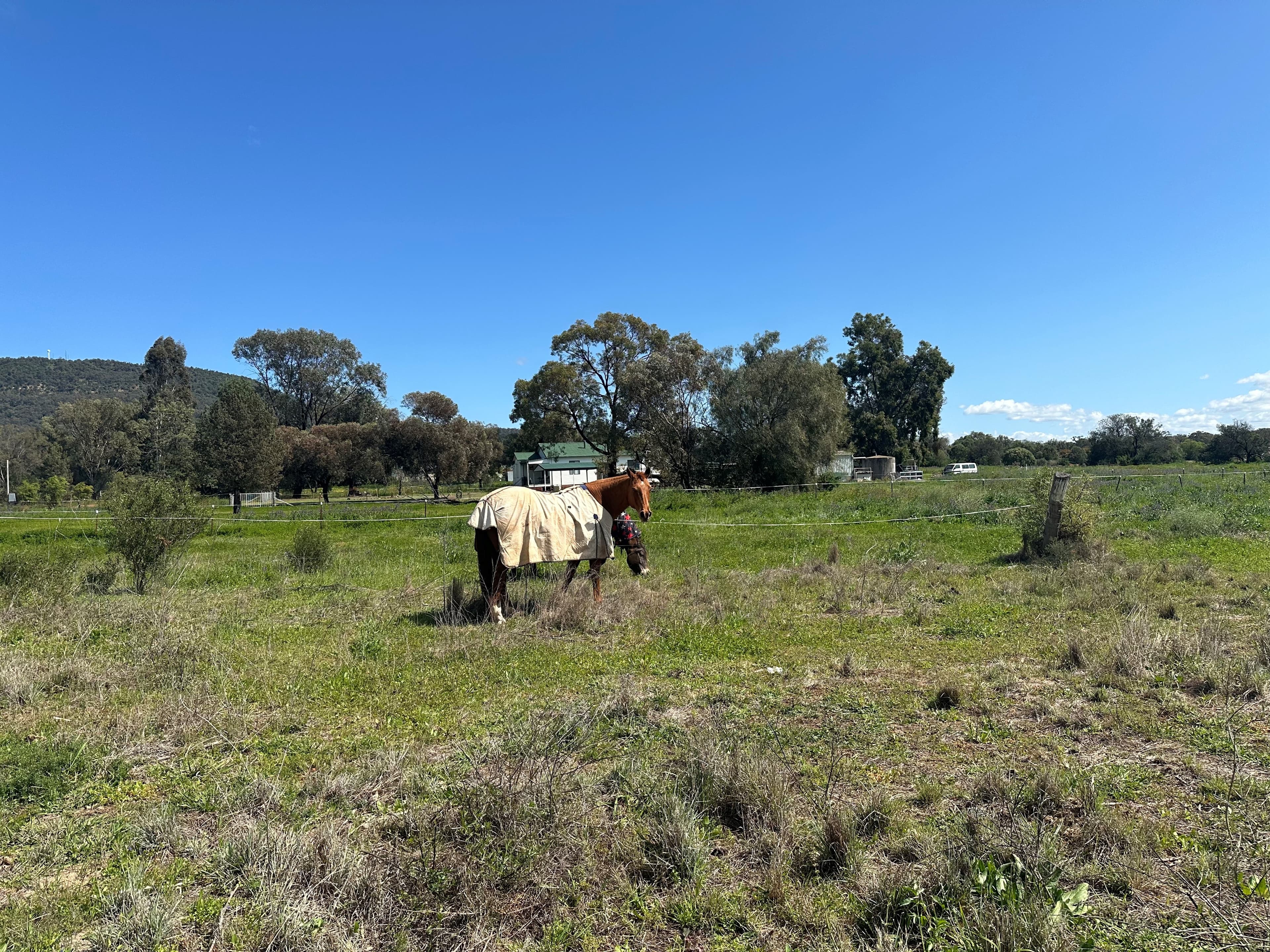 10 Galway Avenue, Gunnedah, Gunnedah - Thumbnail 3
