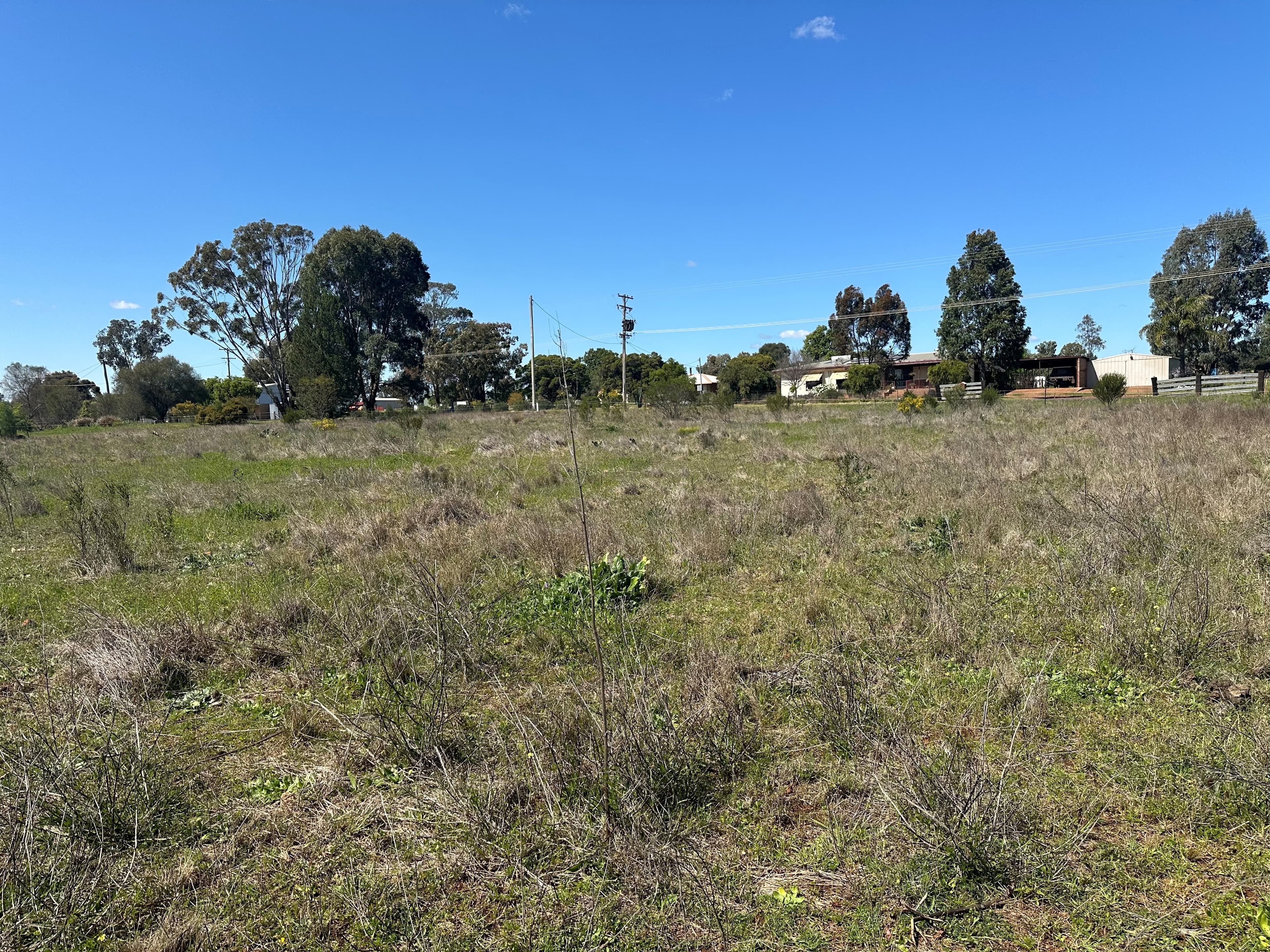 10 Galway Avenue, Gunnedah, Gunnedah - Thumbnail 4