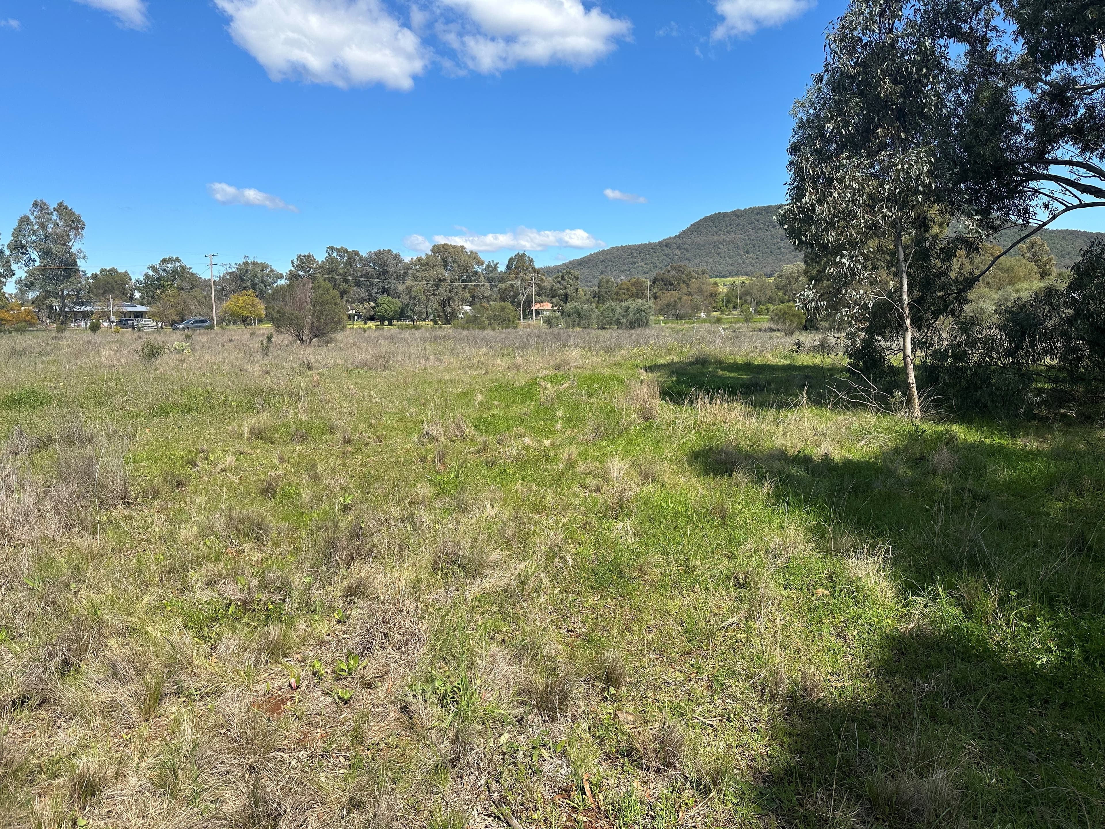10 Galway Avenue, Gunnedah, Gunnedah - Thumbnail 6