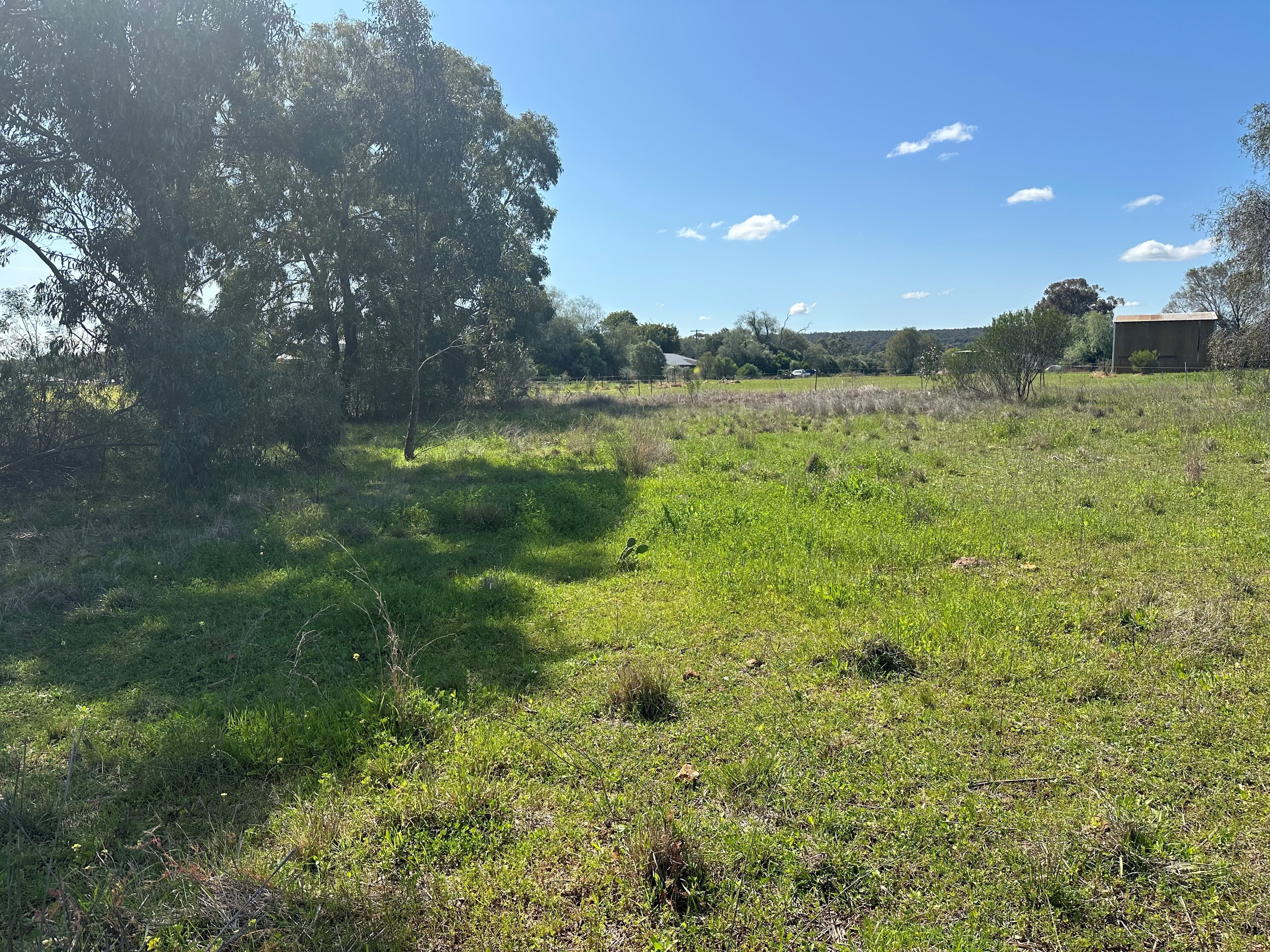 10 Galway Avenue, Gunnedah, Gunnedah - Thumbnail 7