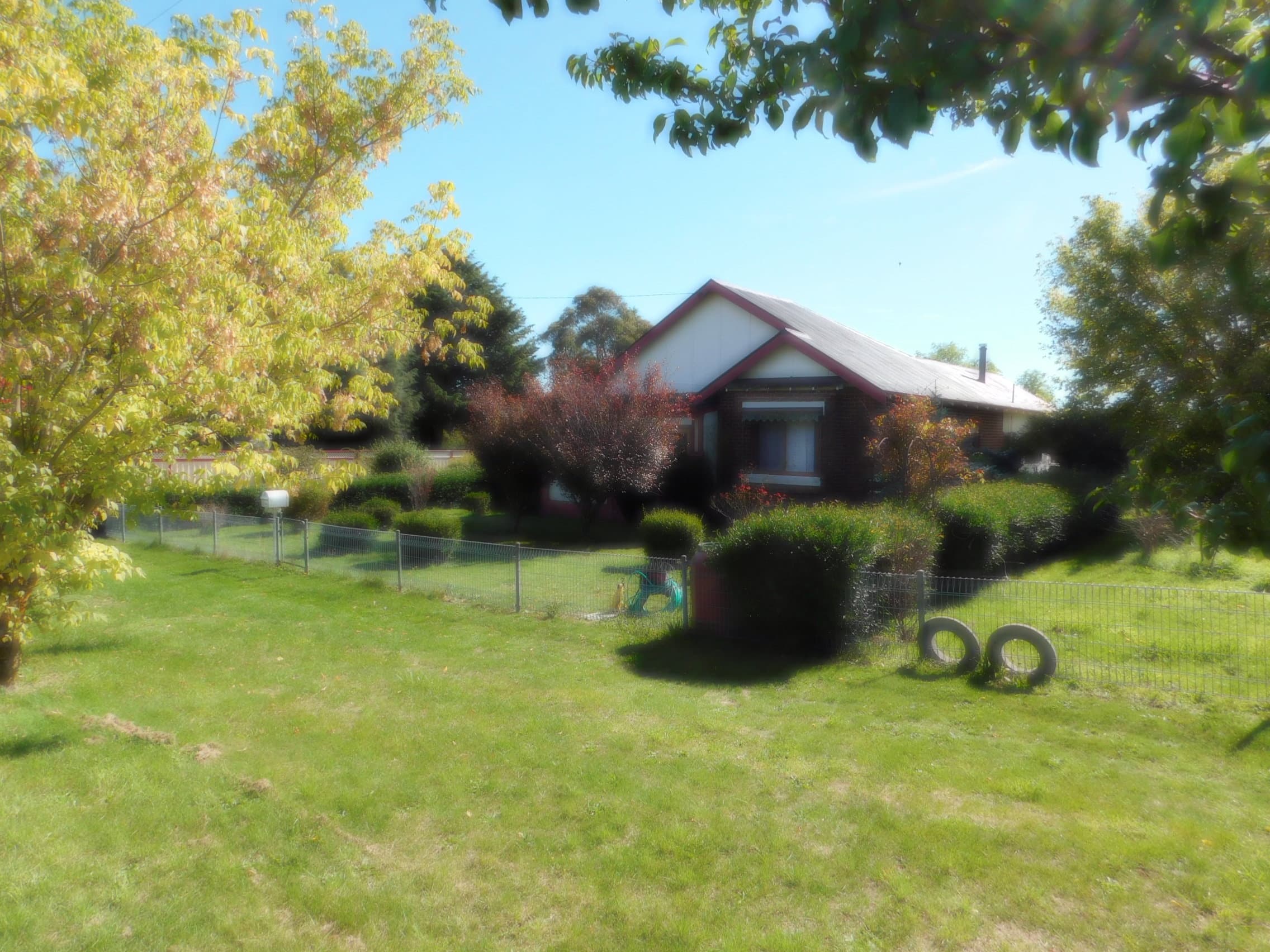 36 Clarke Street, Nimmitabel, Nimmitabel - Thumbnail 2