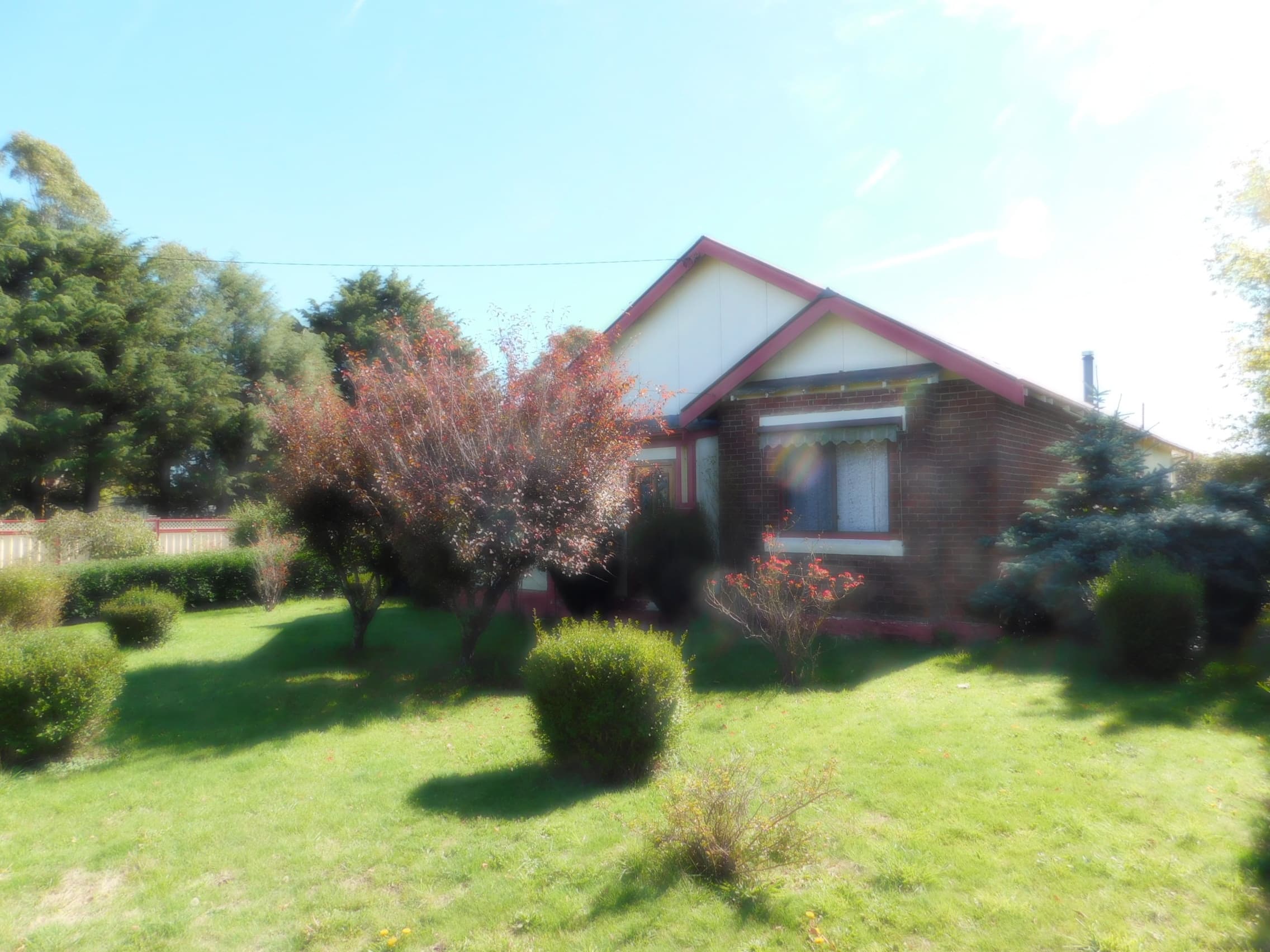 36 Clarke Street, Nimmitabel, Nimmitabel - Thumbnail 4