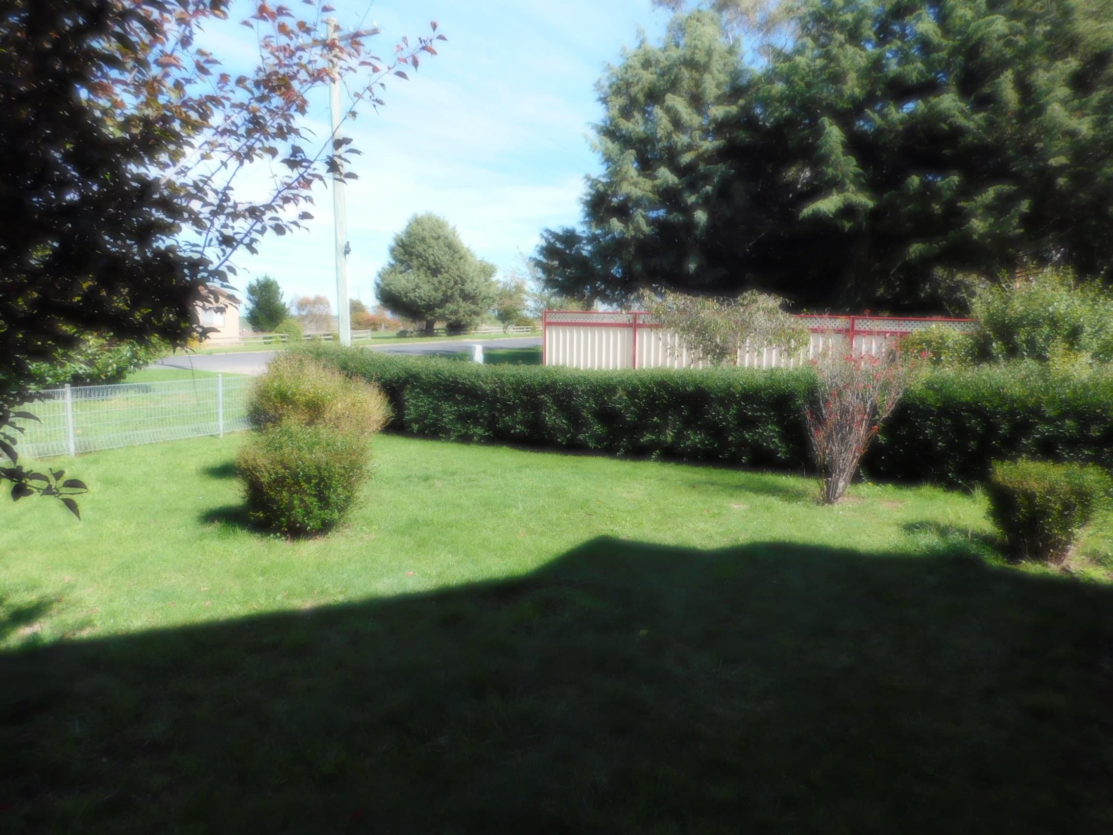 36 Clarke Street, Nimmitabel, Nimmitabel - Thumbnail 5