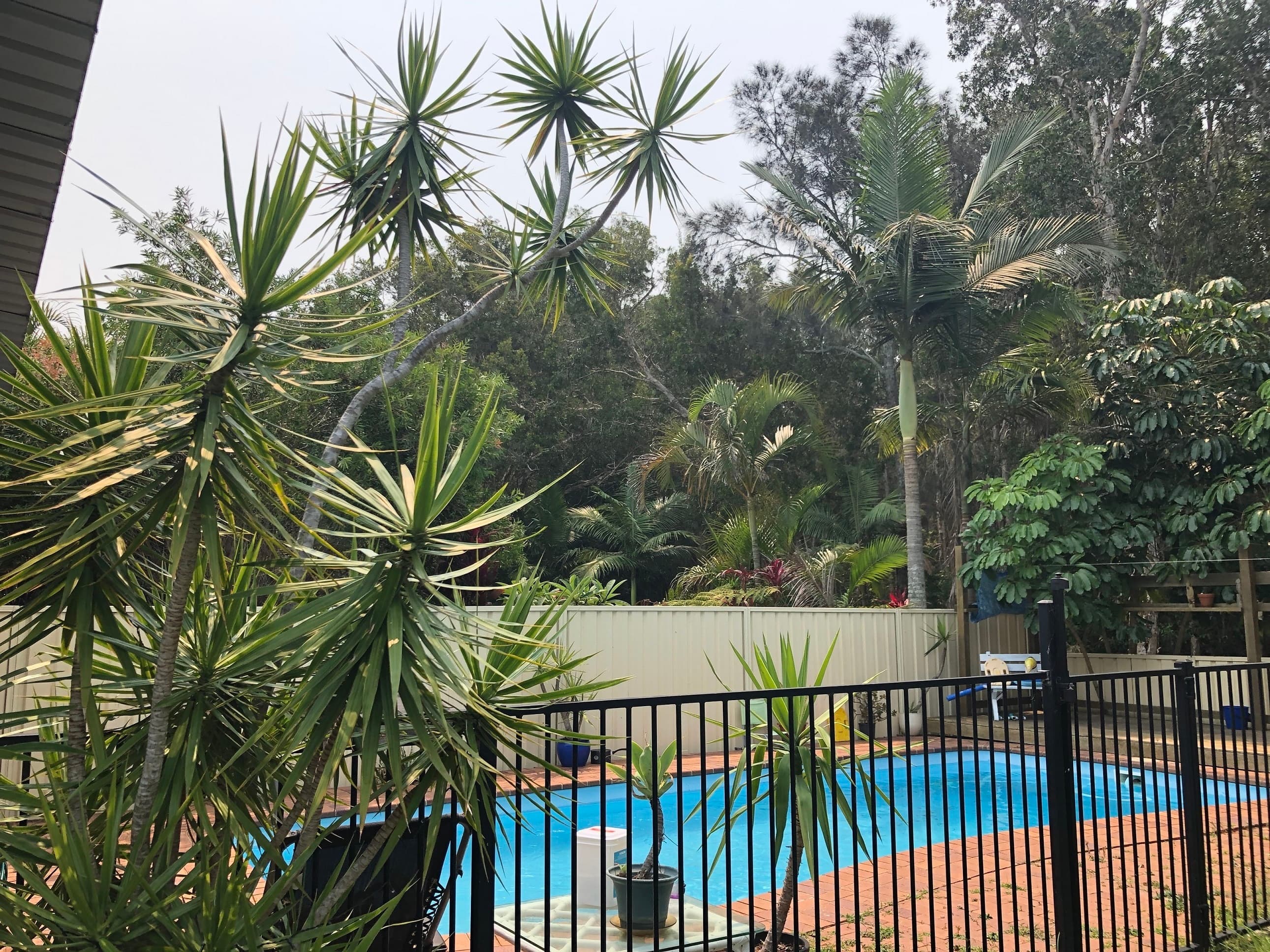 14 Redbox Crescent, Sandy Beach, Sandy Beach - Thumbnail 7