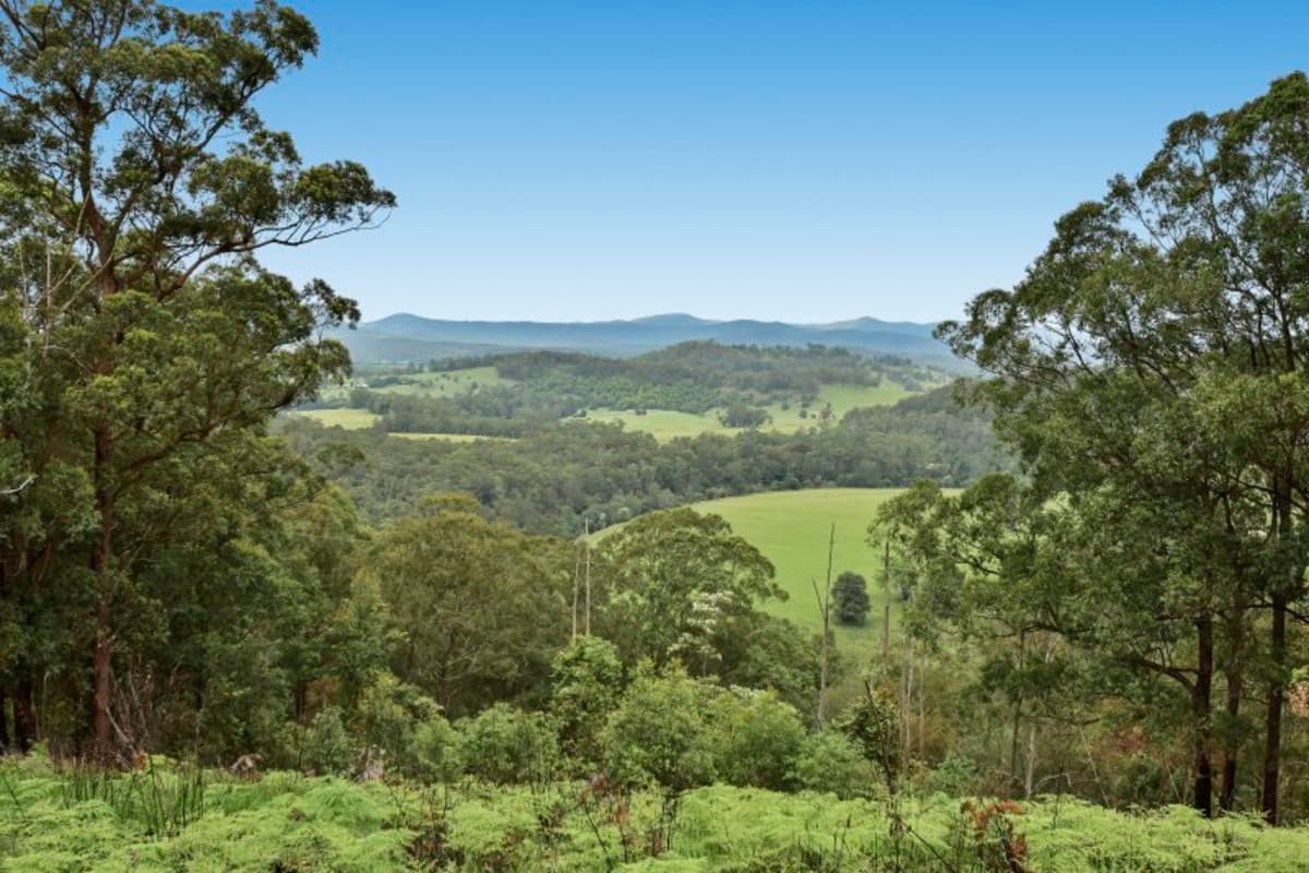453 Pappinbarra Road, Frazers Creek, Frazers Creek - Thumbnail 4