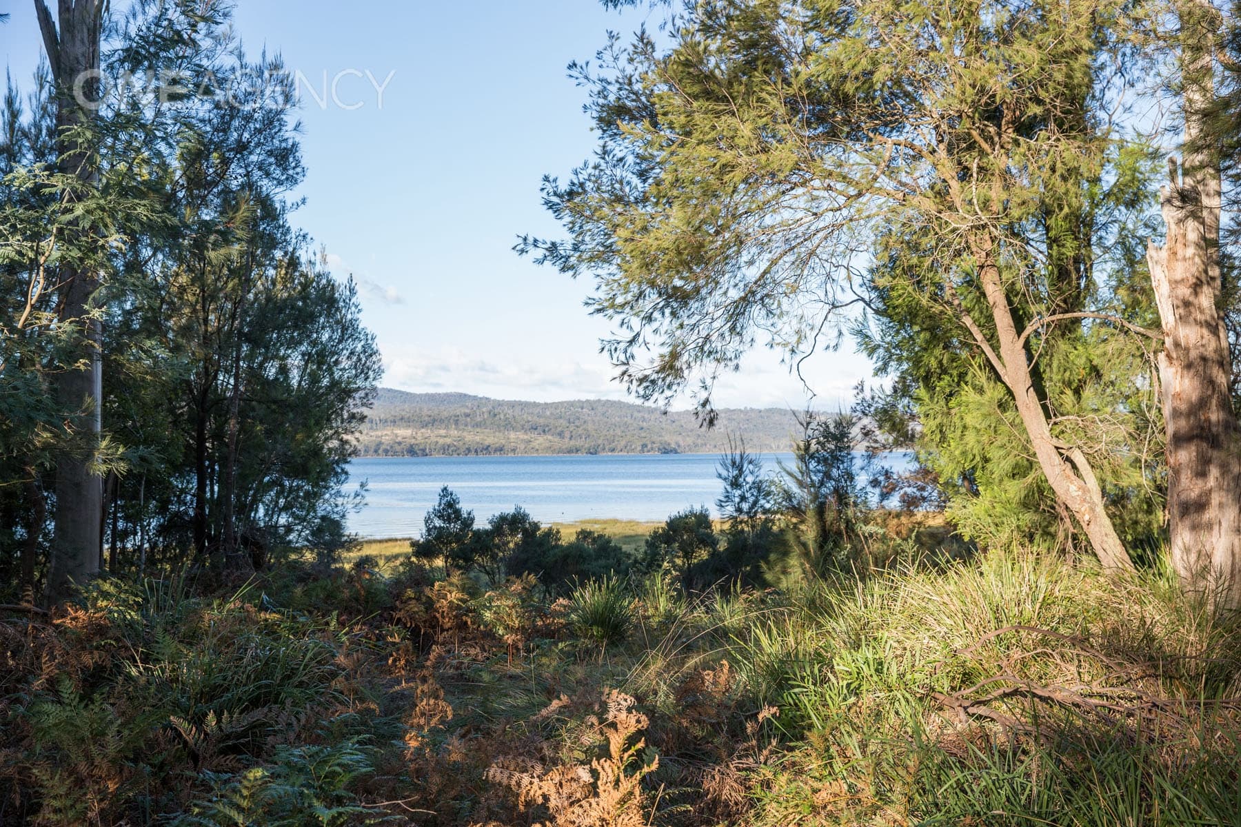 104 Paper Beach Road, Swan Point, Swan Point - Thumbnail 7