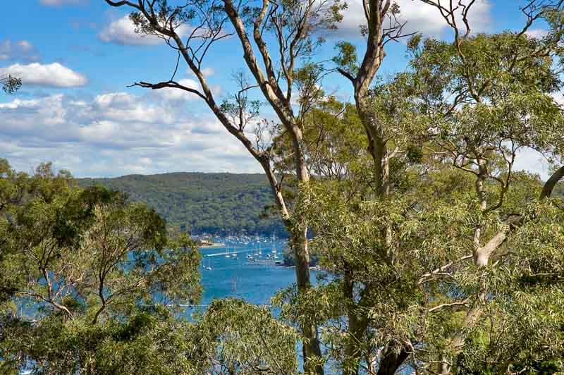 25 Loombah Street, Bilgola, Bilgola - Thumbnail 2