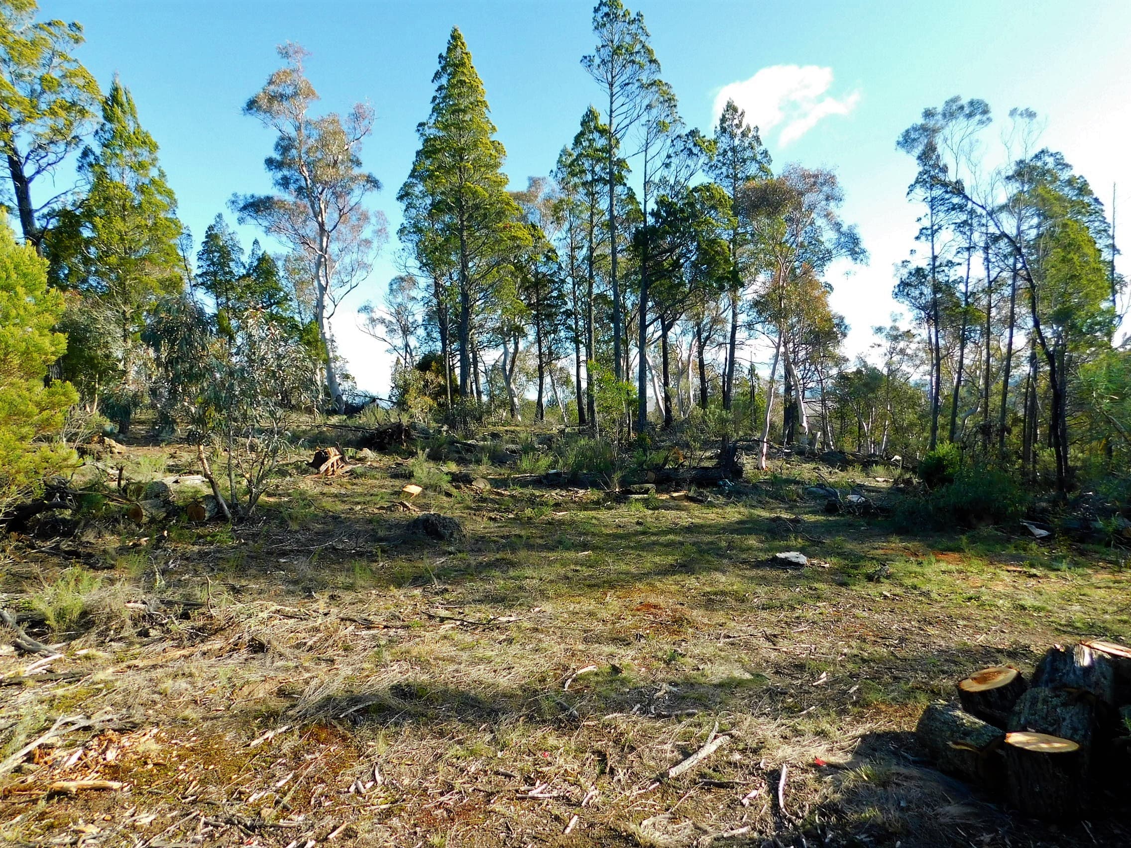 341 Scotts Road, Binjura, Binjura - Thumbnail 8
