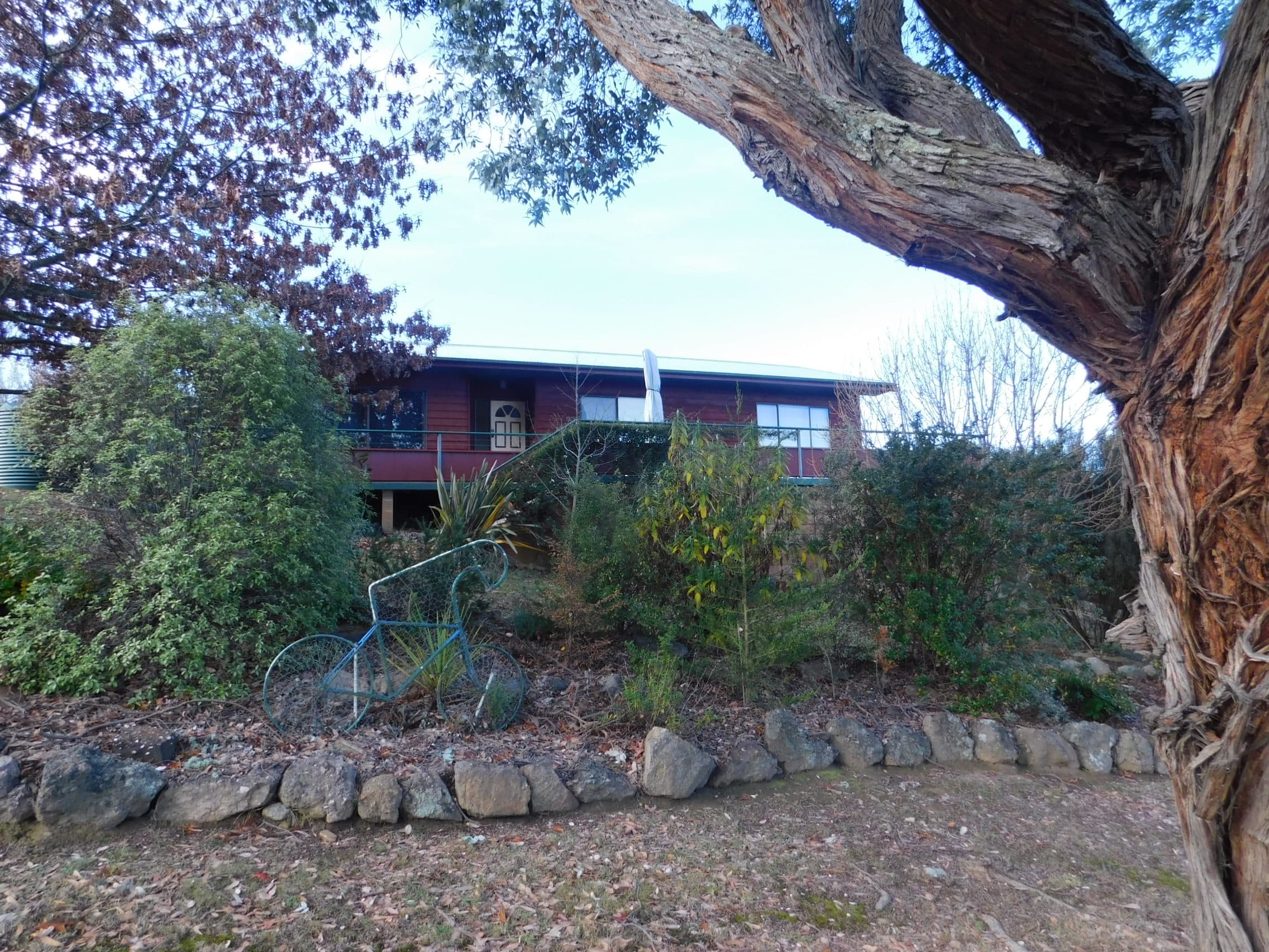 11 Plunkett Street, Bombala, Bombala - Thumbnail 2