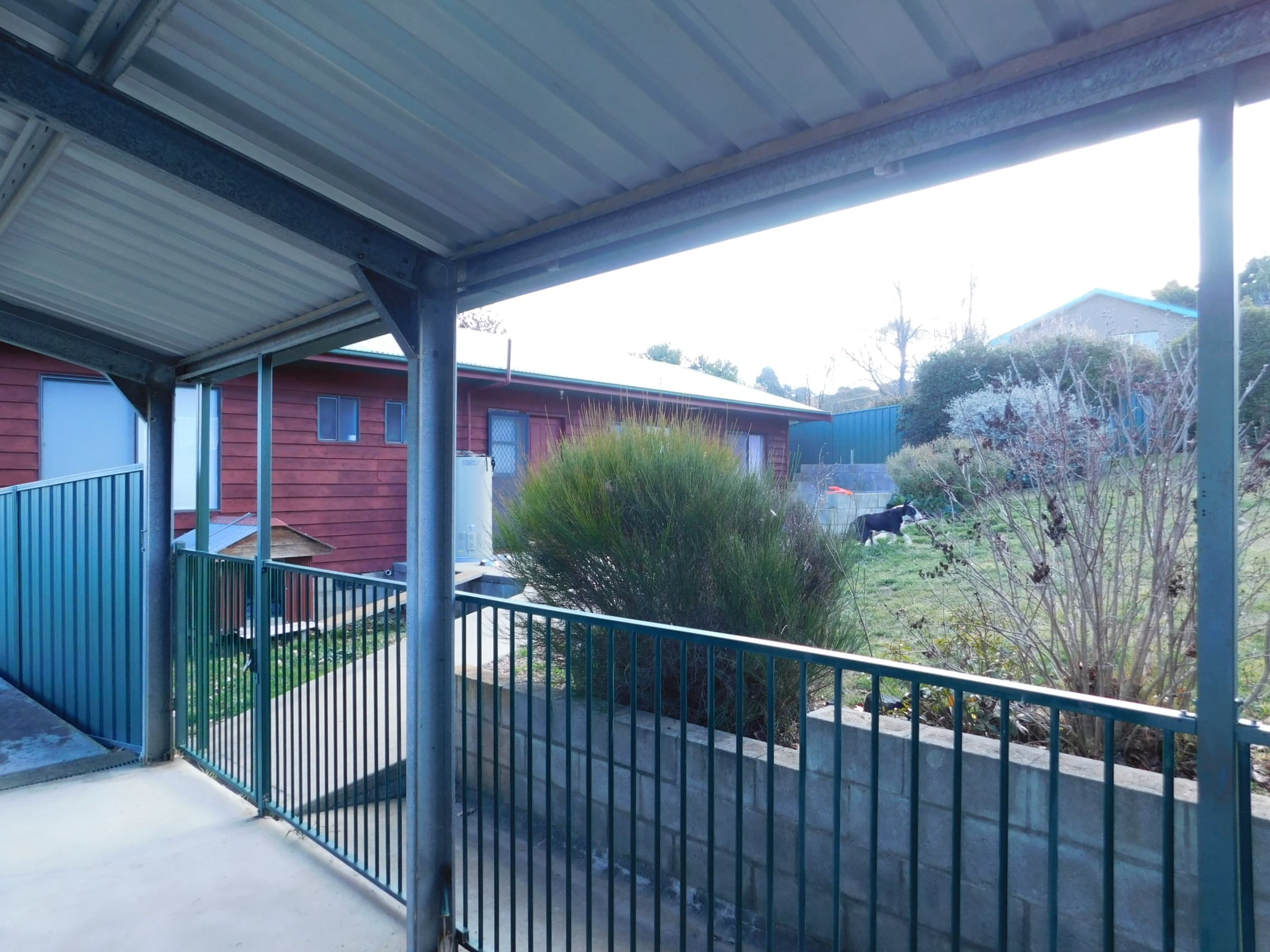11 Plunkett Street, Bombala, Bombala - Thumbnail 5