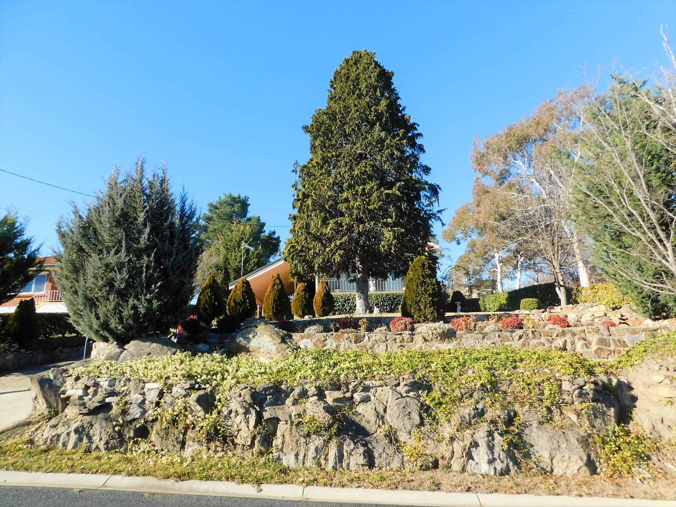 12 Creek Street, Cooma, Cooma - Thumbnail 3