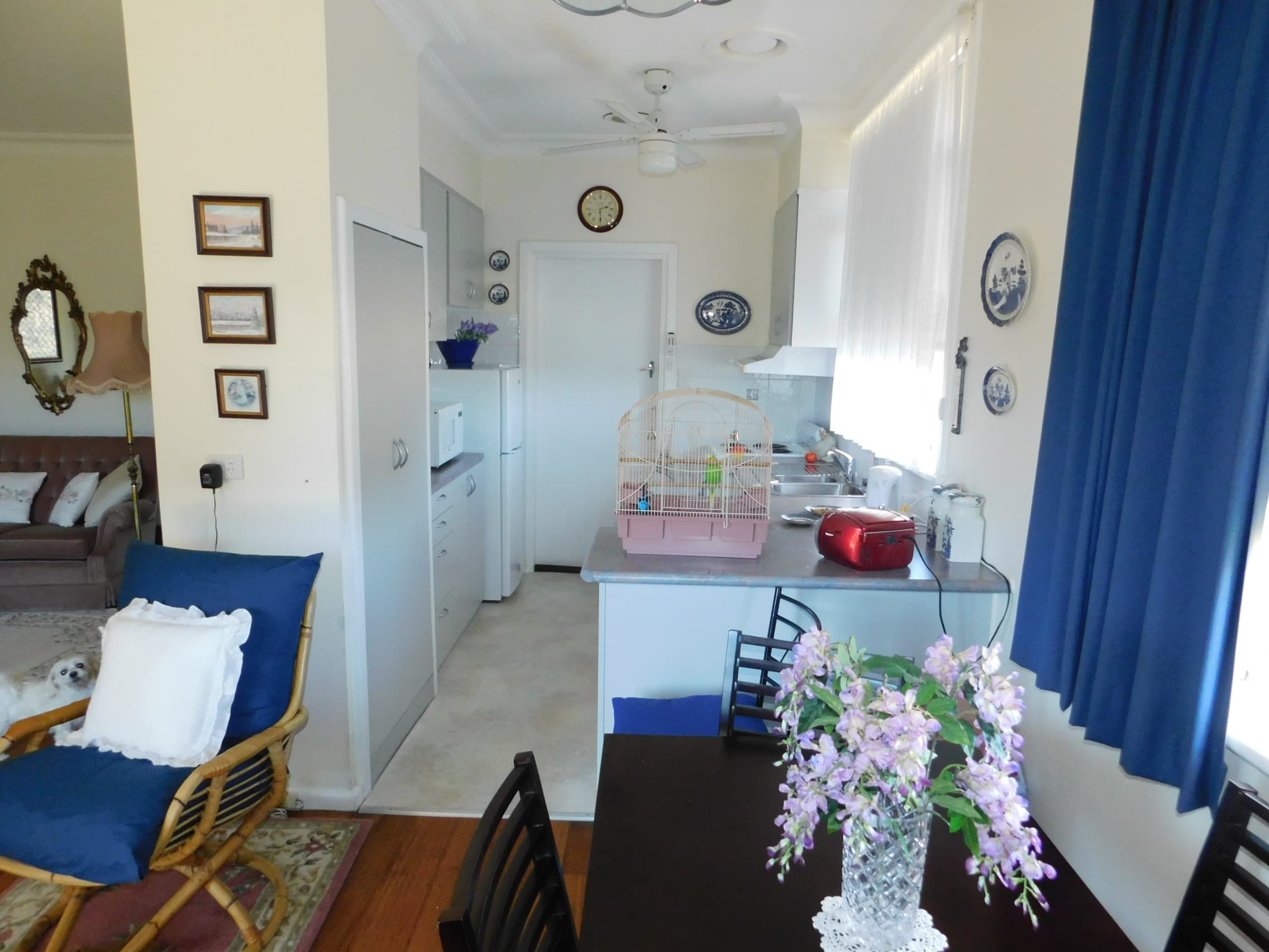 12 Creek Street, Cooma, Cooma - Thumbnail 5