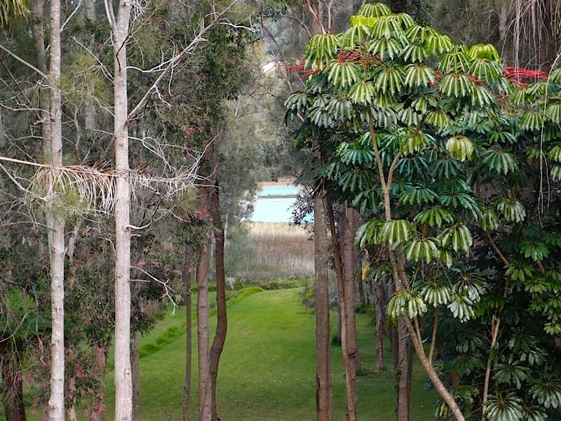 54 Hastings Road, Terrigal, Terrigal - Thumbnail 8