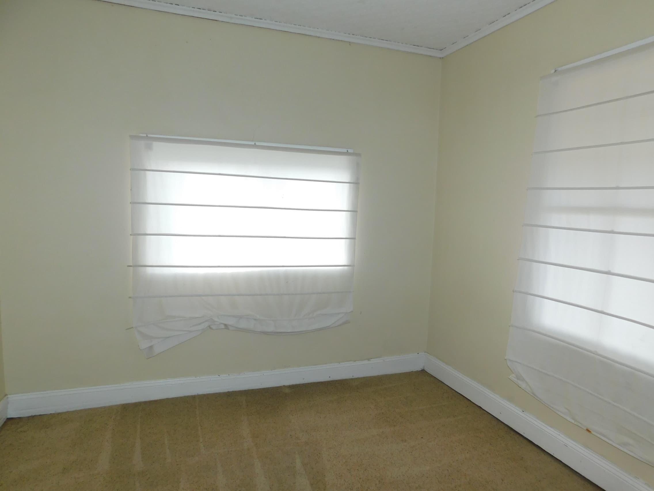 5 Egan Street, Cooma, Cooma - Thumbnail 7