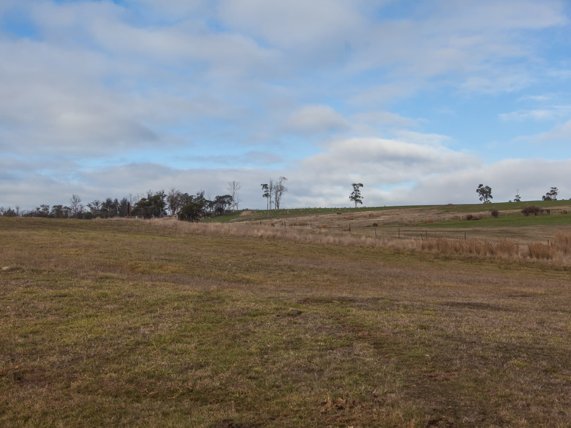 58 Acropolis Drive, Legana, Legana - Thumbnail 4