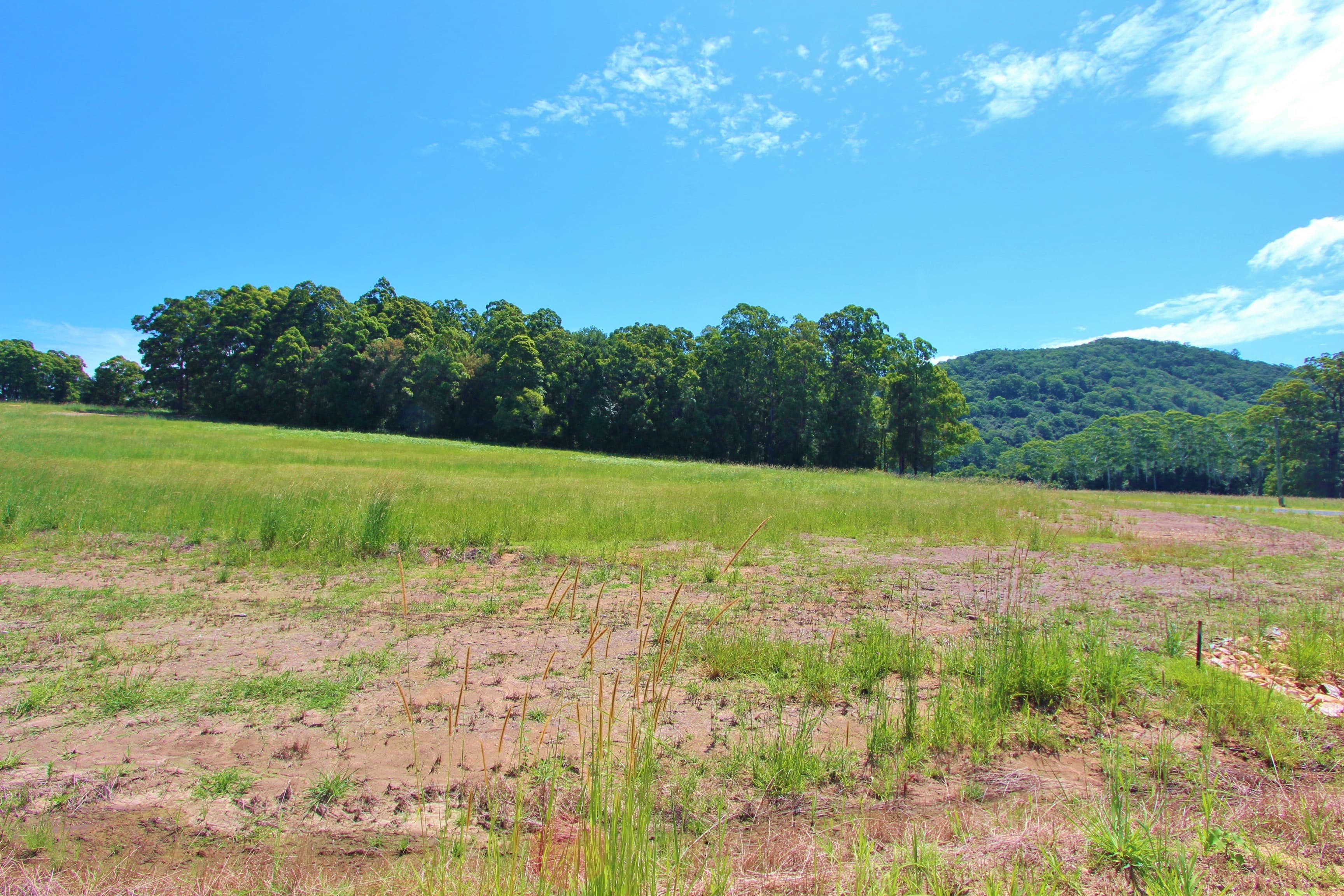 Lot 8 Latham Place, Logans Crossing, Logans Crossing - Image 1