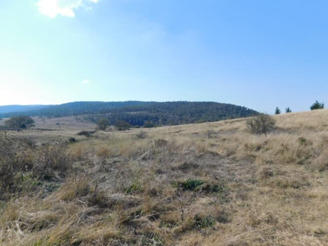 Lot/1 Snowy Creek Avenue, Cooma, Salamander Bay - Thumbnail 6
