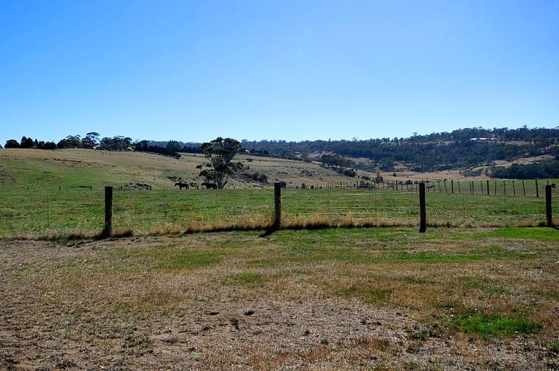591 Pateena Road, Longford, Longford - Thumbnail 5