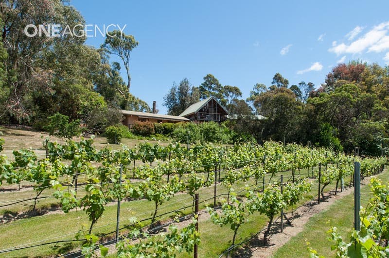 34 Nobelius Drive, Legana, Legana - Image 1