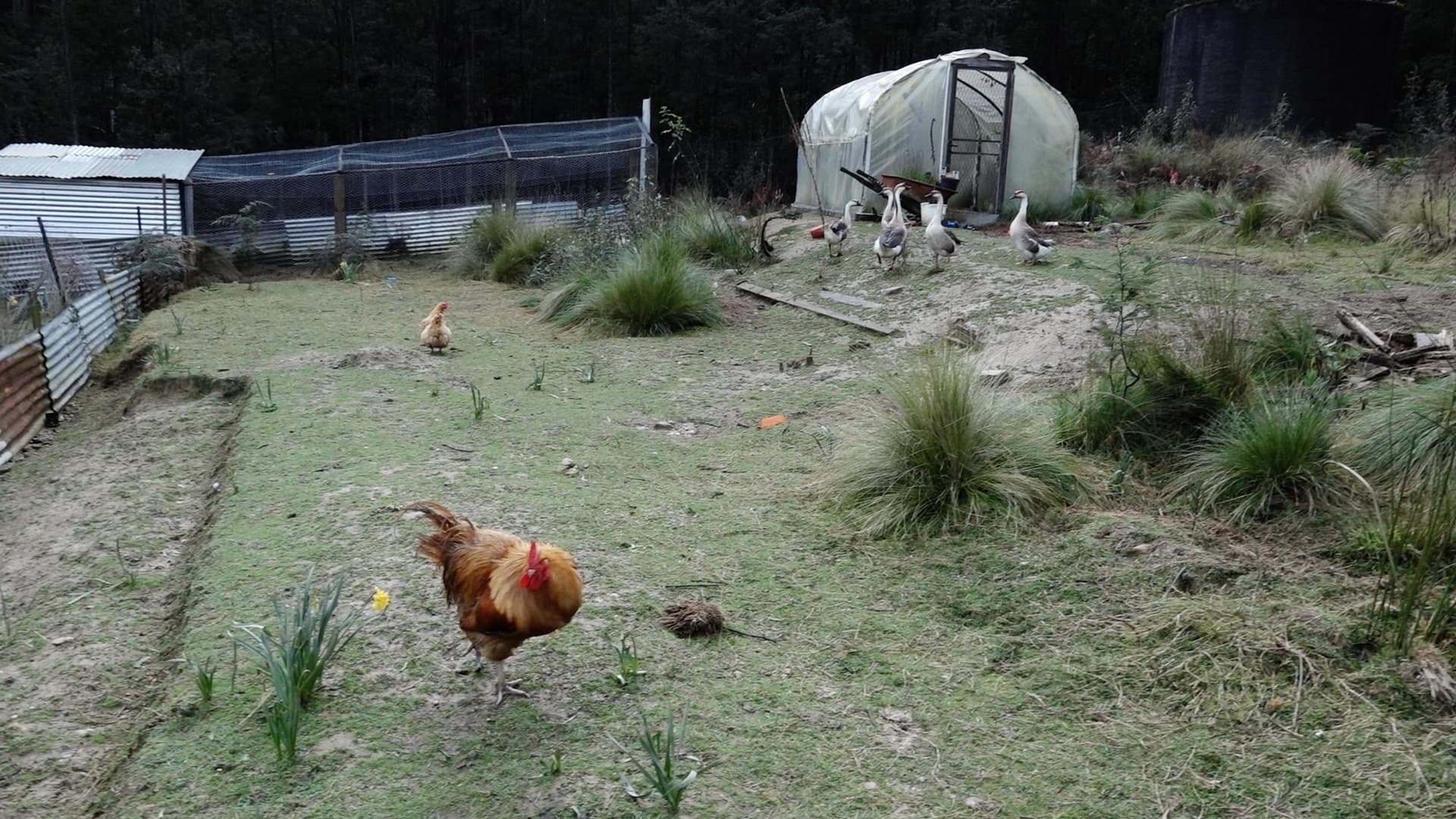232 Zig Zag Road, Calder, Calder - Thumbnail 6