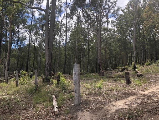 2433 Sherwood Creek Road, Glenreagh, Glenreagh - Thumbnail 5