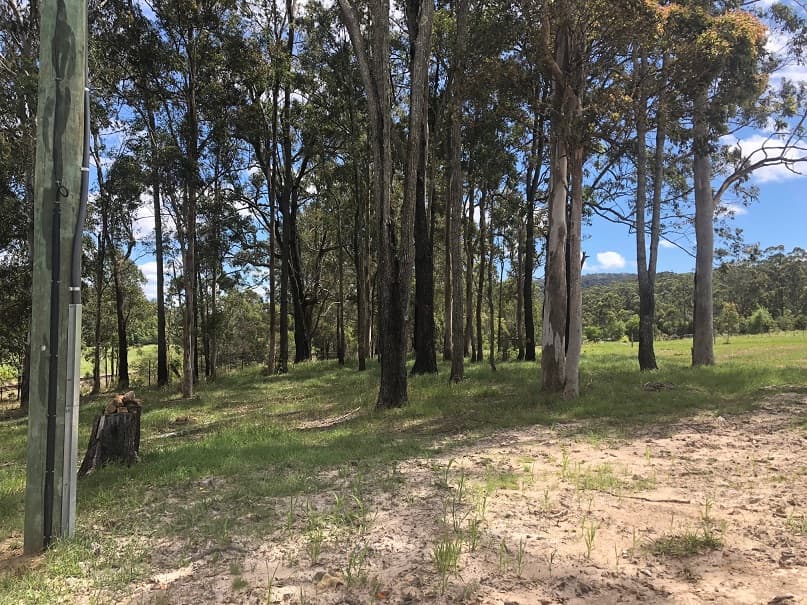 2433 Sherwood Creek Road, Glenreagh, Glenreagh - Thumbnail 6