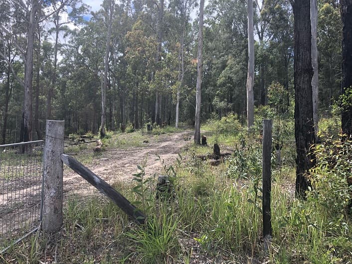 2433 Sherwood Creek Road, Glenreagh, Glenreagh - Thumbnail 4