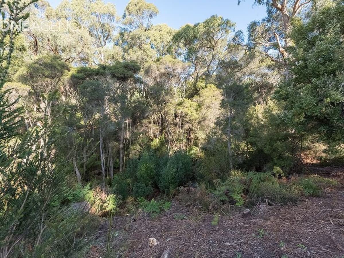 21 Banksia Avenue, Sisters Beach, Sisters Beach - Thumbnail 7