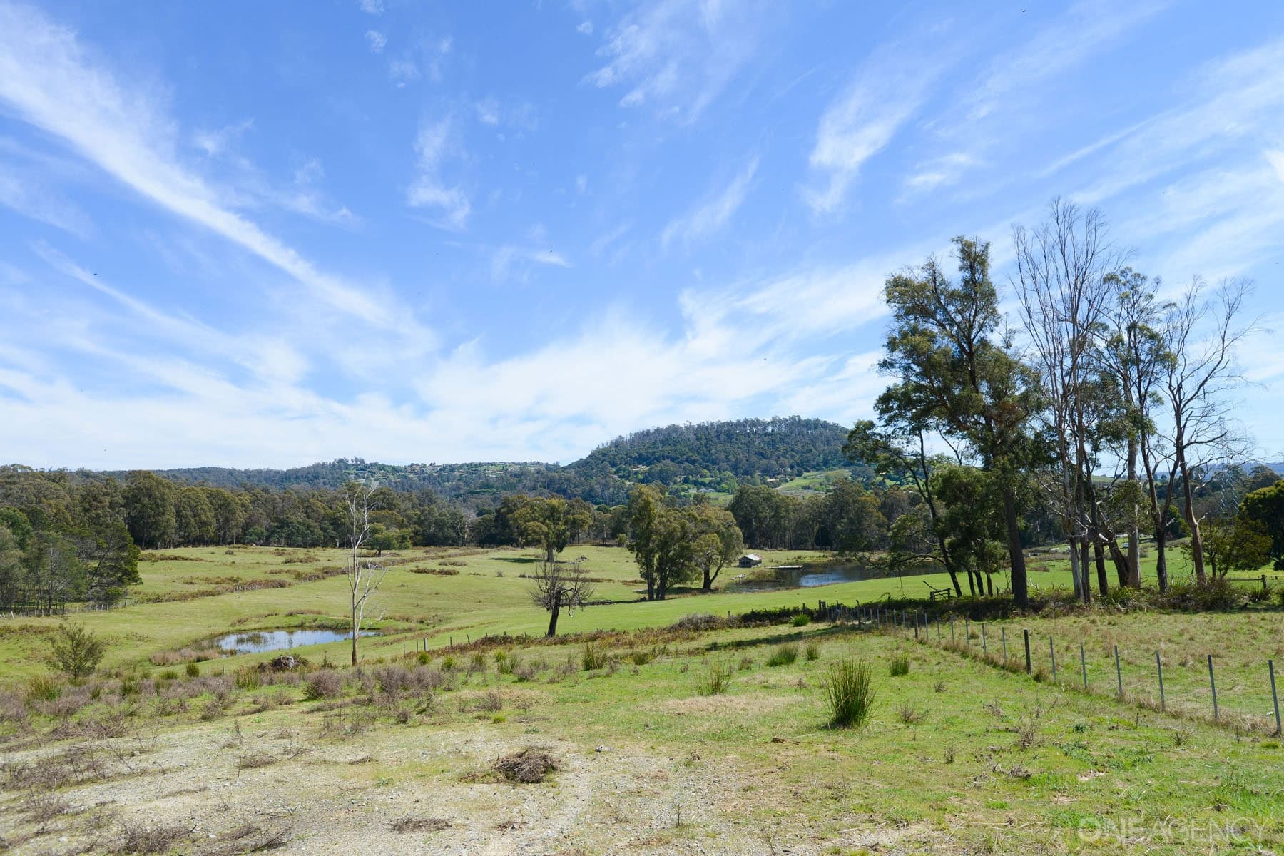 26 Sunrise Drive, Legana, Legana - Thumbnail 4